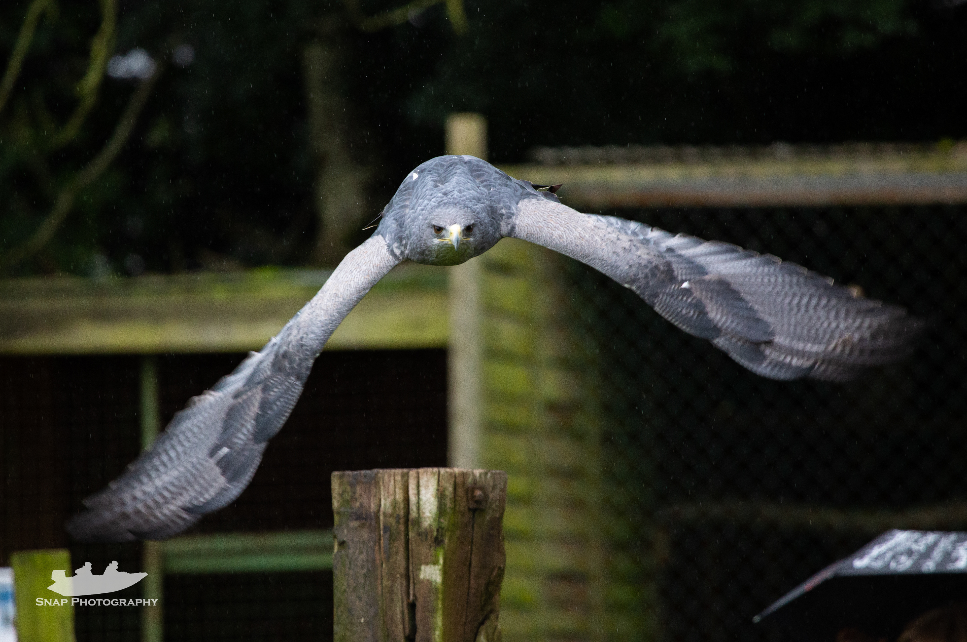 Liberty's rapture centre 
