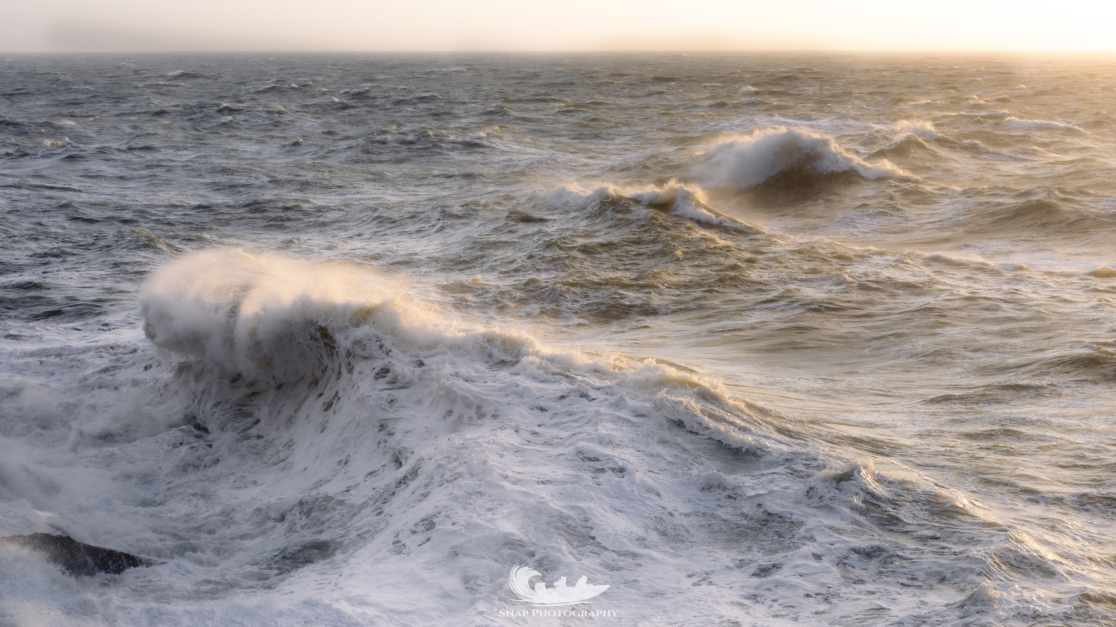 White horses