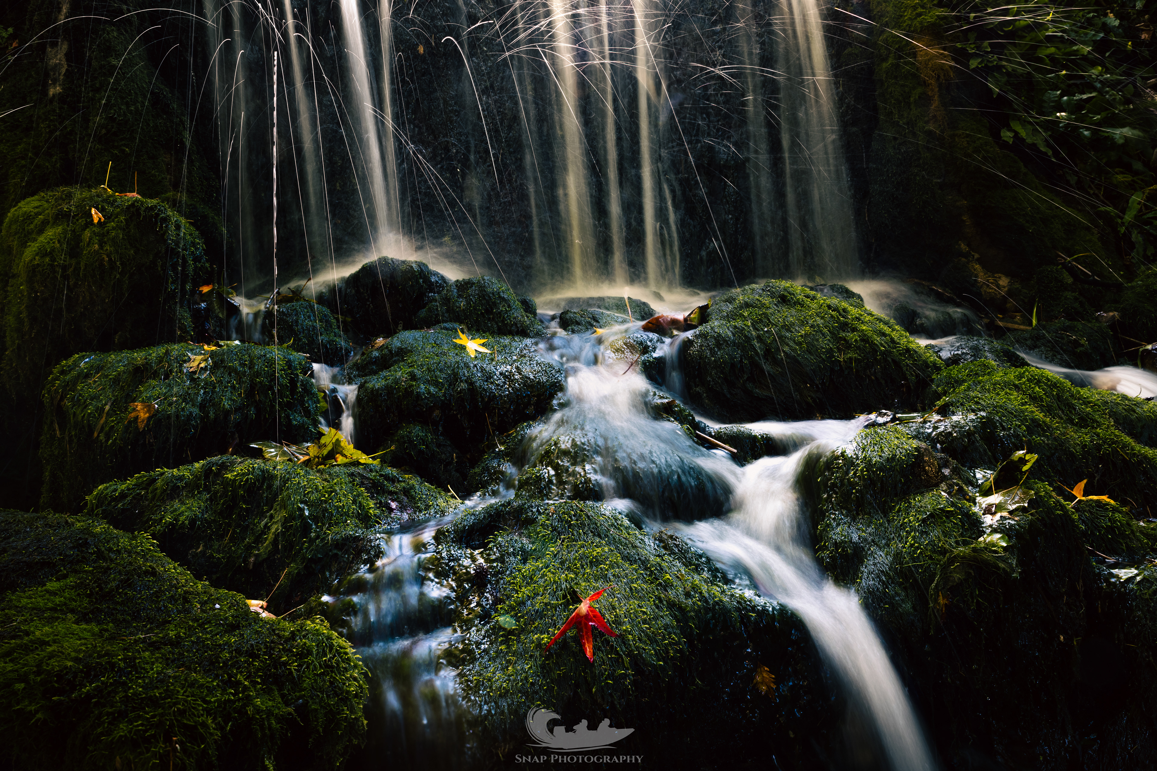 Littlebredy waterfall