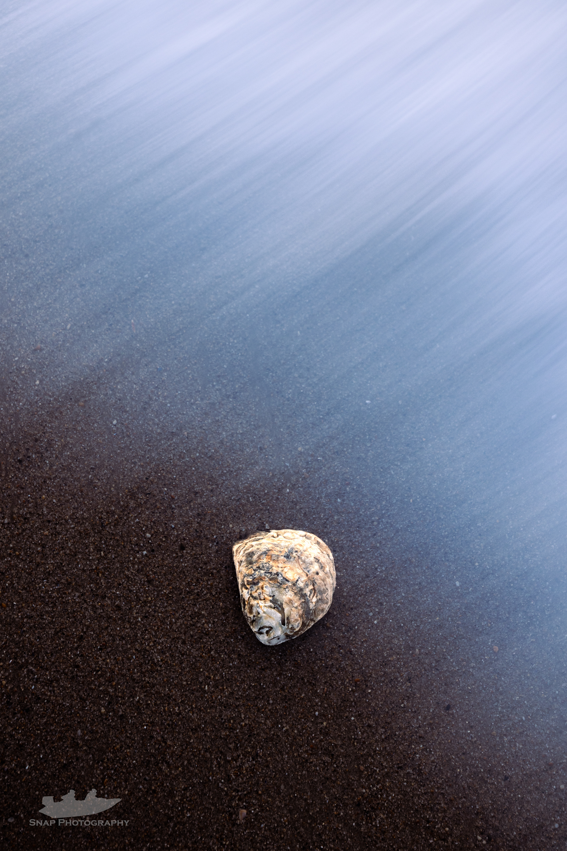 Shell's in the tide 