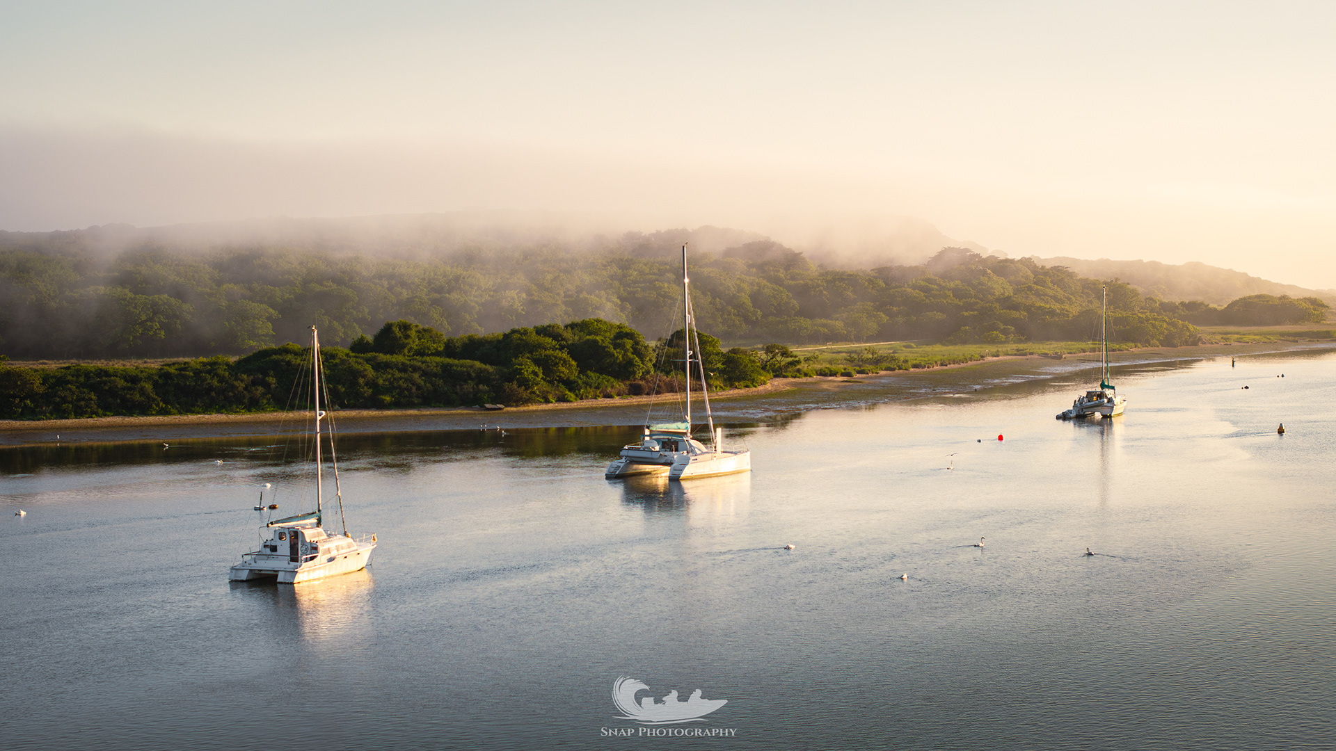 Sea mist