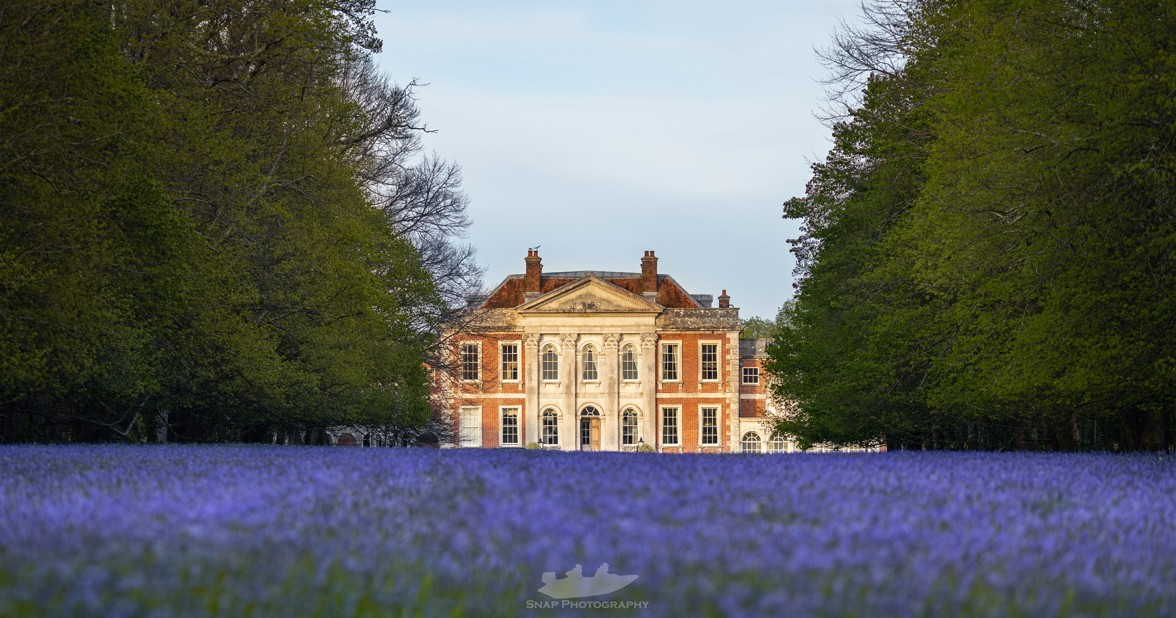 Hinton Admiral Bluebells
