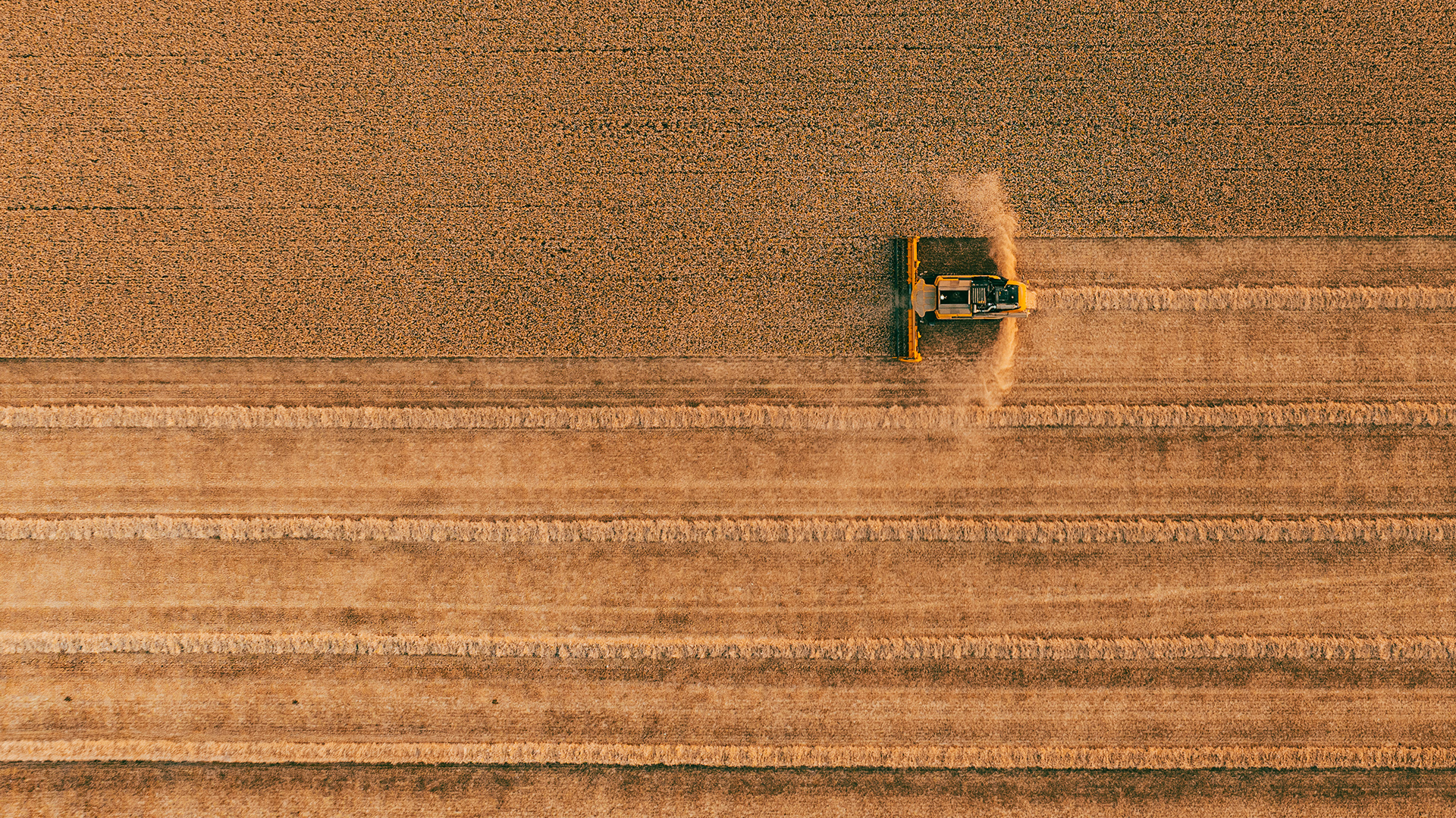 Harvest