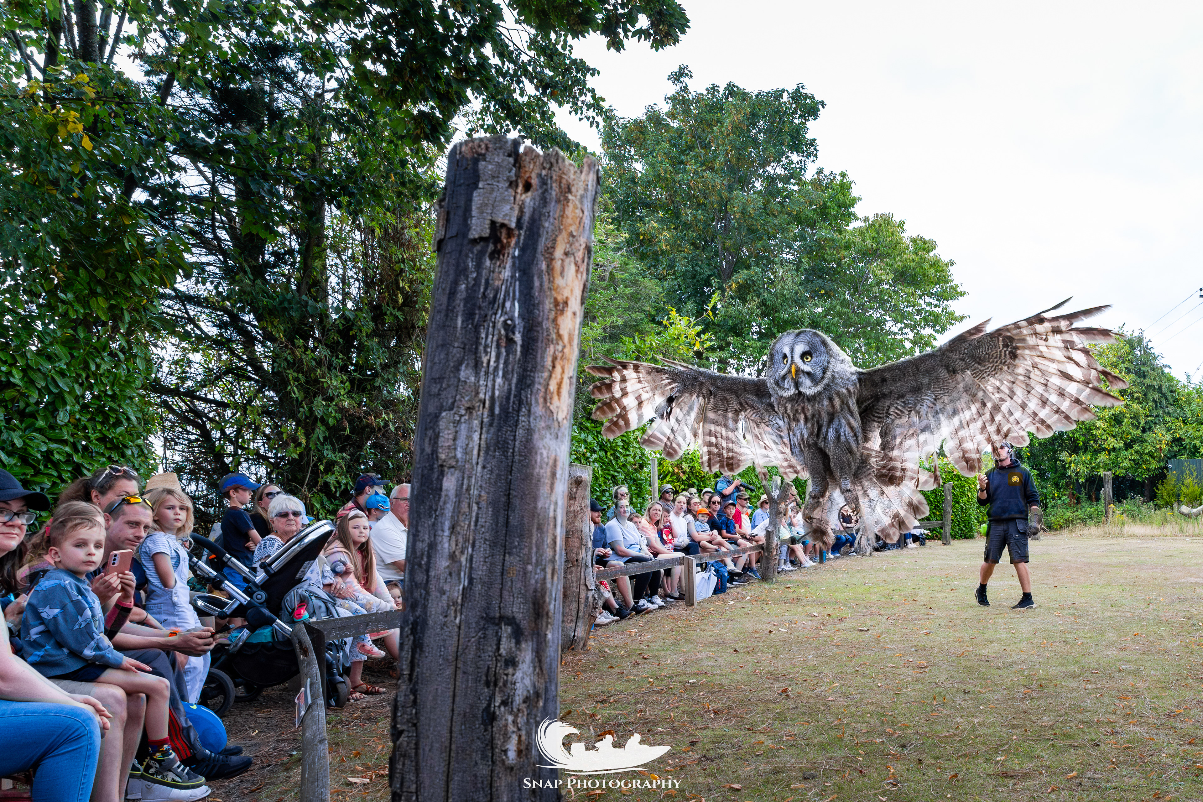 Liberty's owl and raptor centre