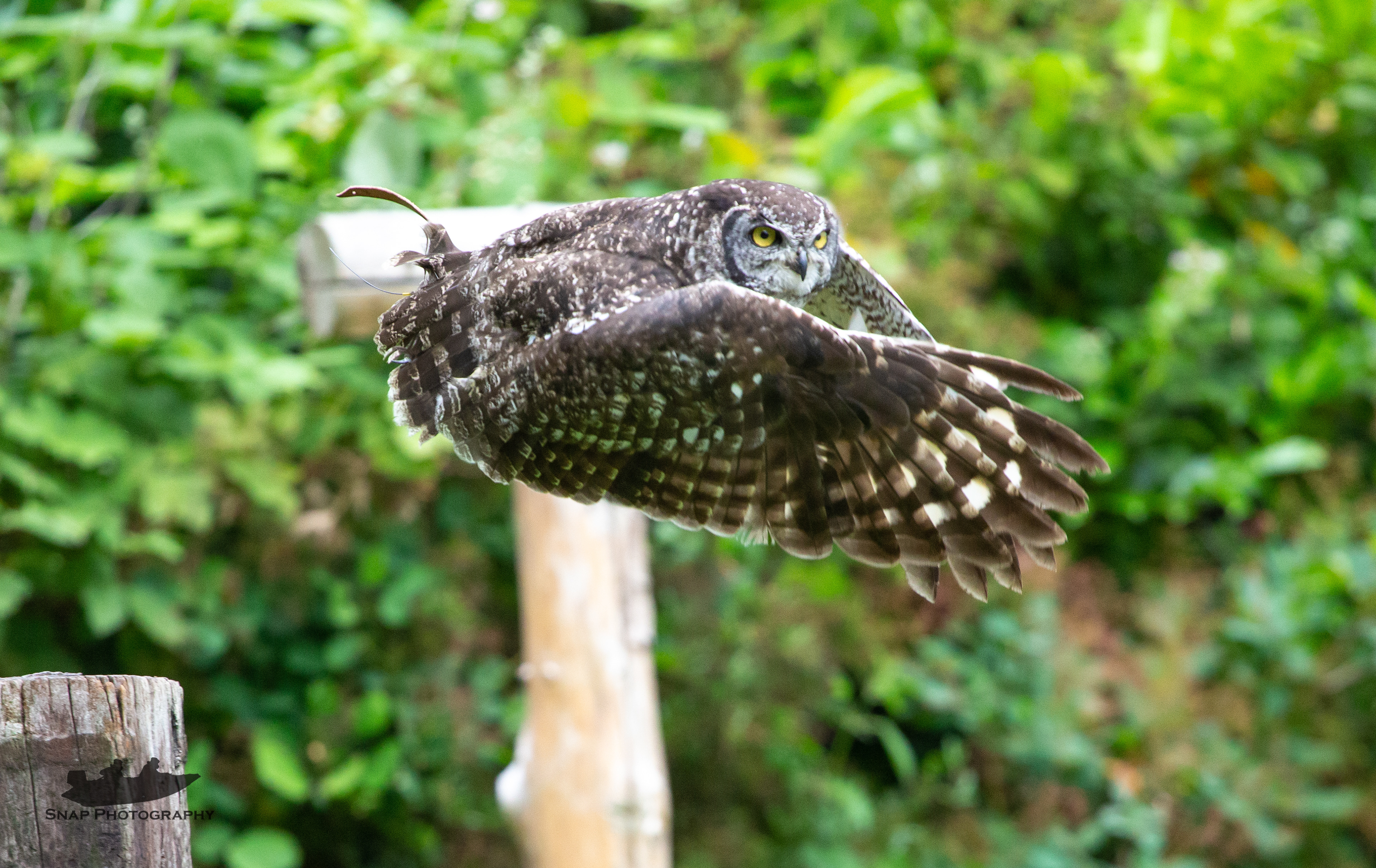 Liberty's rapture centre 