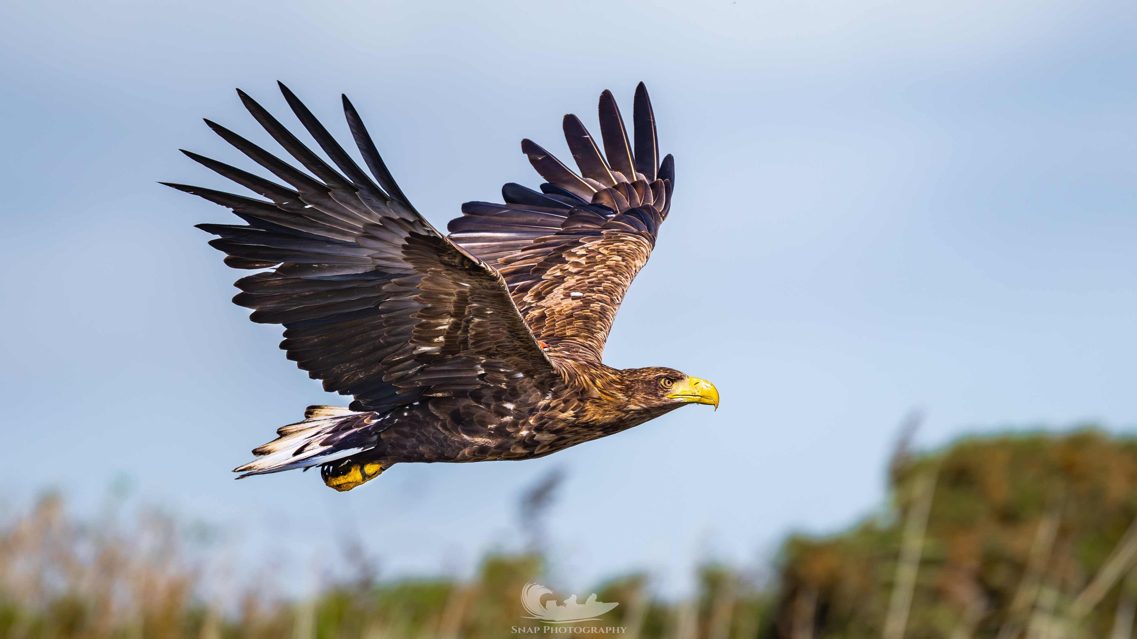 G625 soaring over Christchurch harbour 