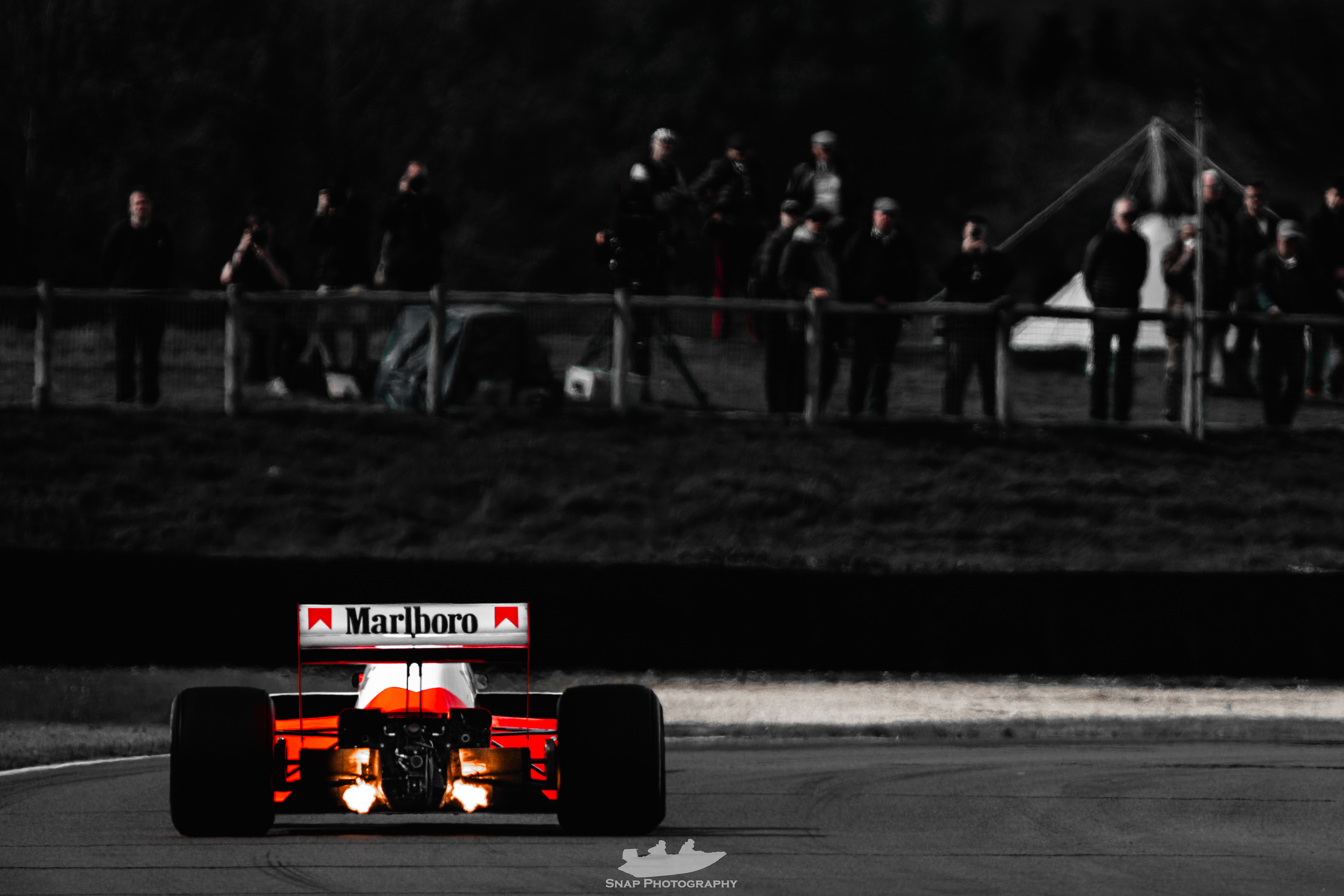 81st Members Meeting