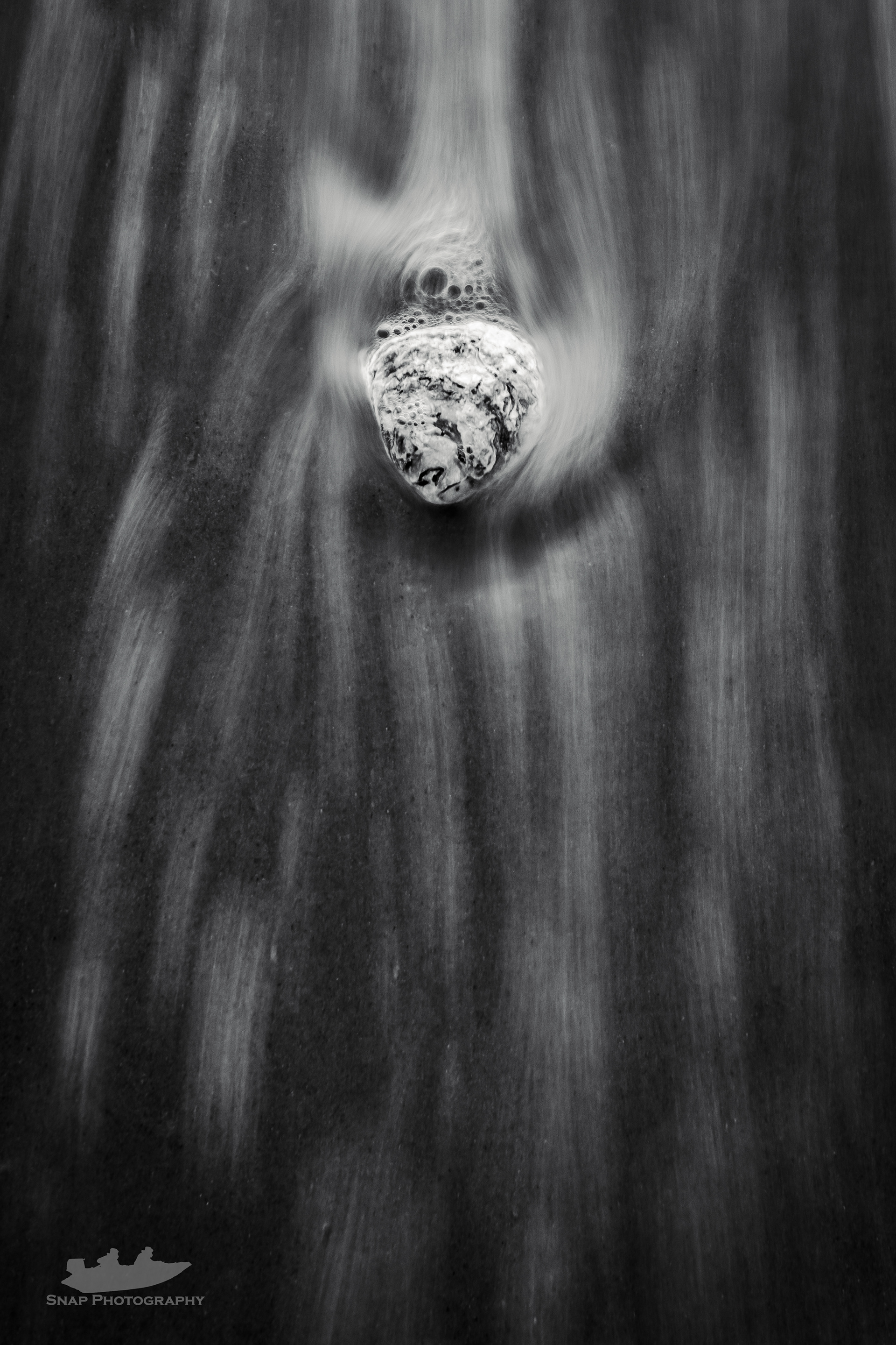 Shell's in the tide 
