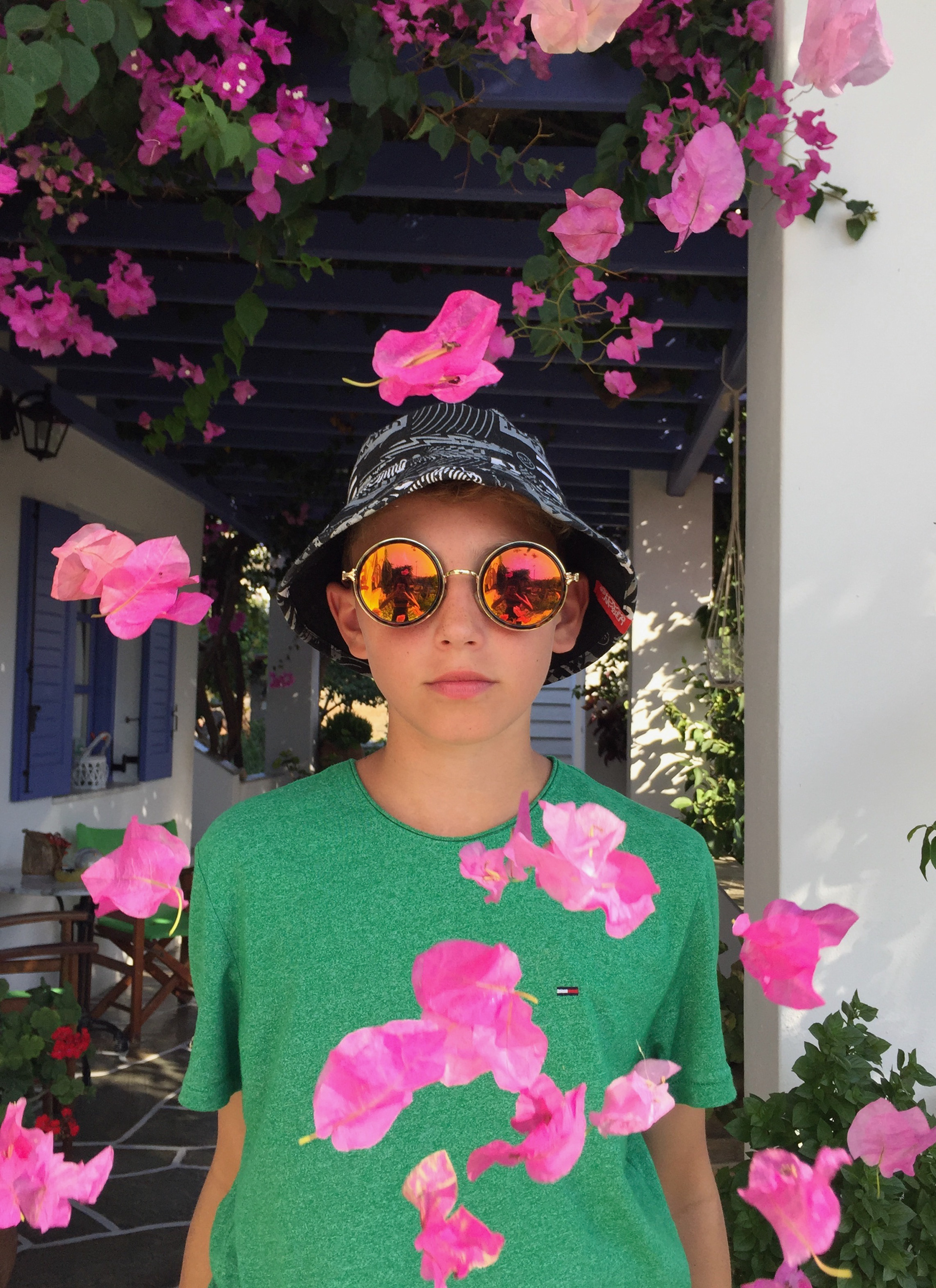 A shower of Bougainvillea petals