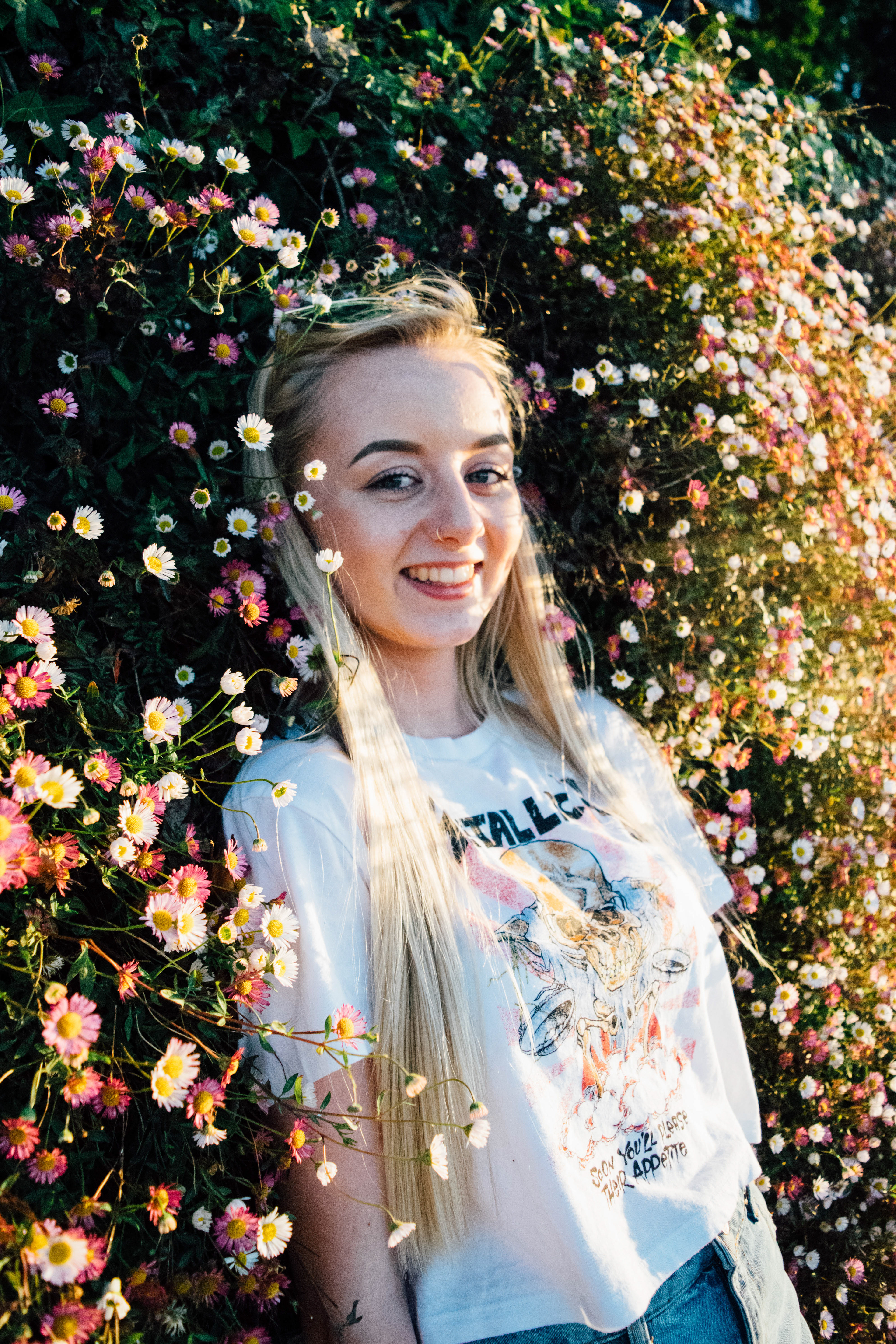 Poppy laying in the daisies