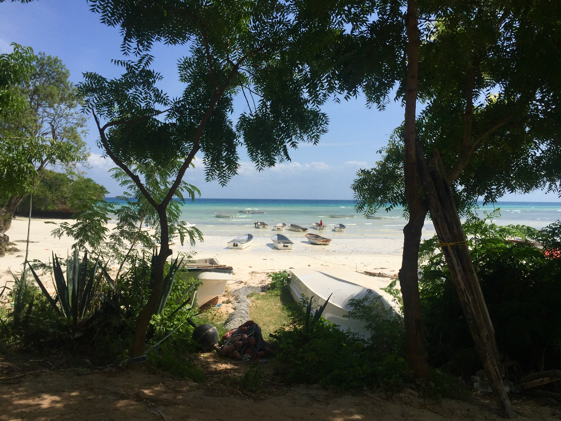 Kizimkazi Dimbani, Zanzibar