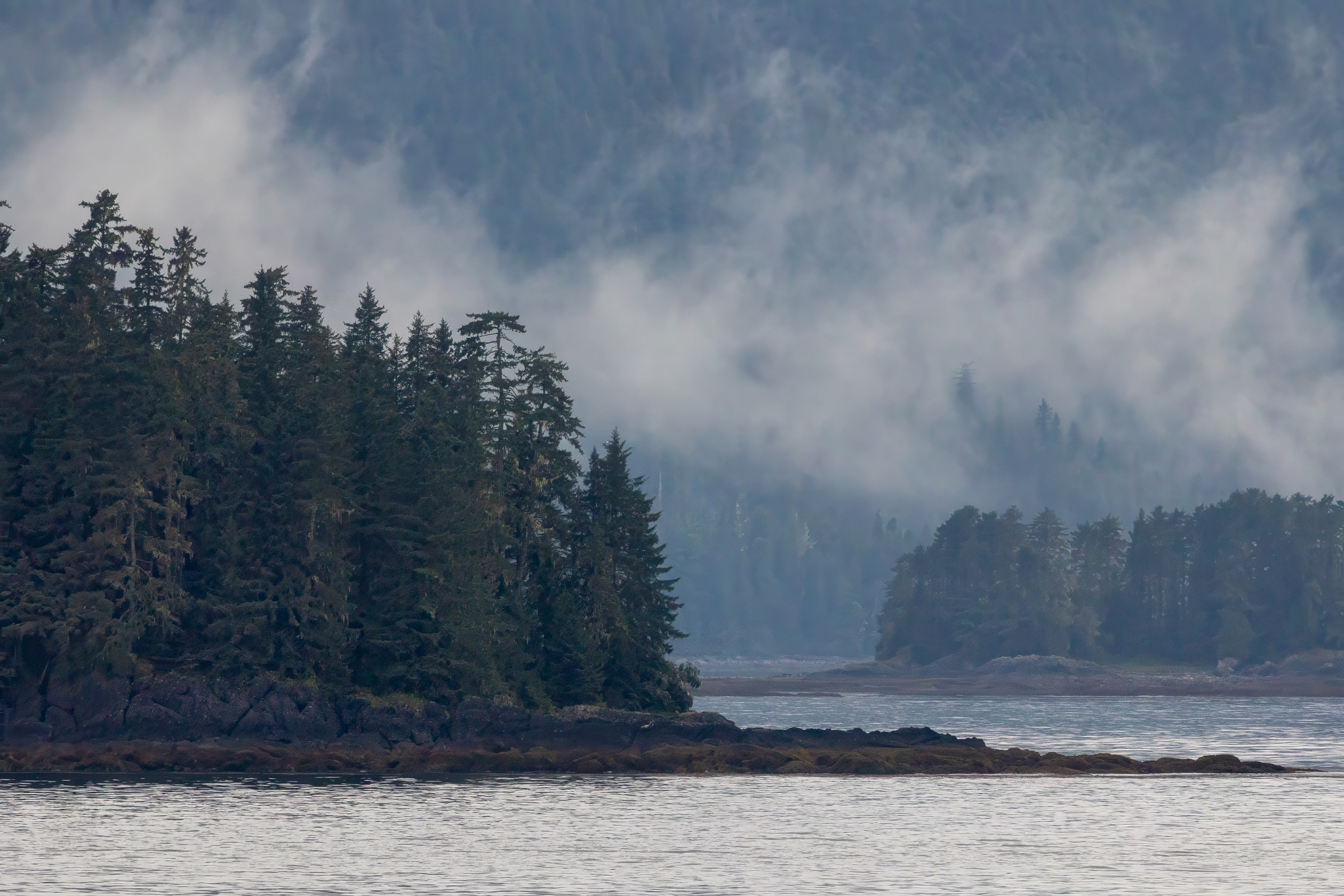 Inside Passage, Alaska — a still moment where the island, the mainland, and the mist all seemed to breathe together.