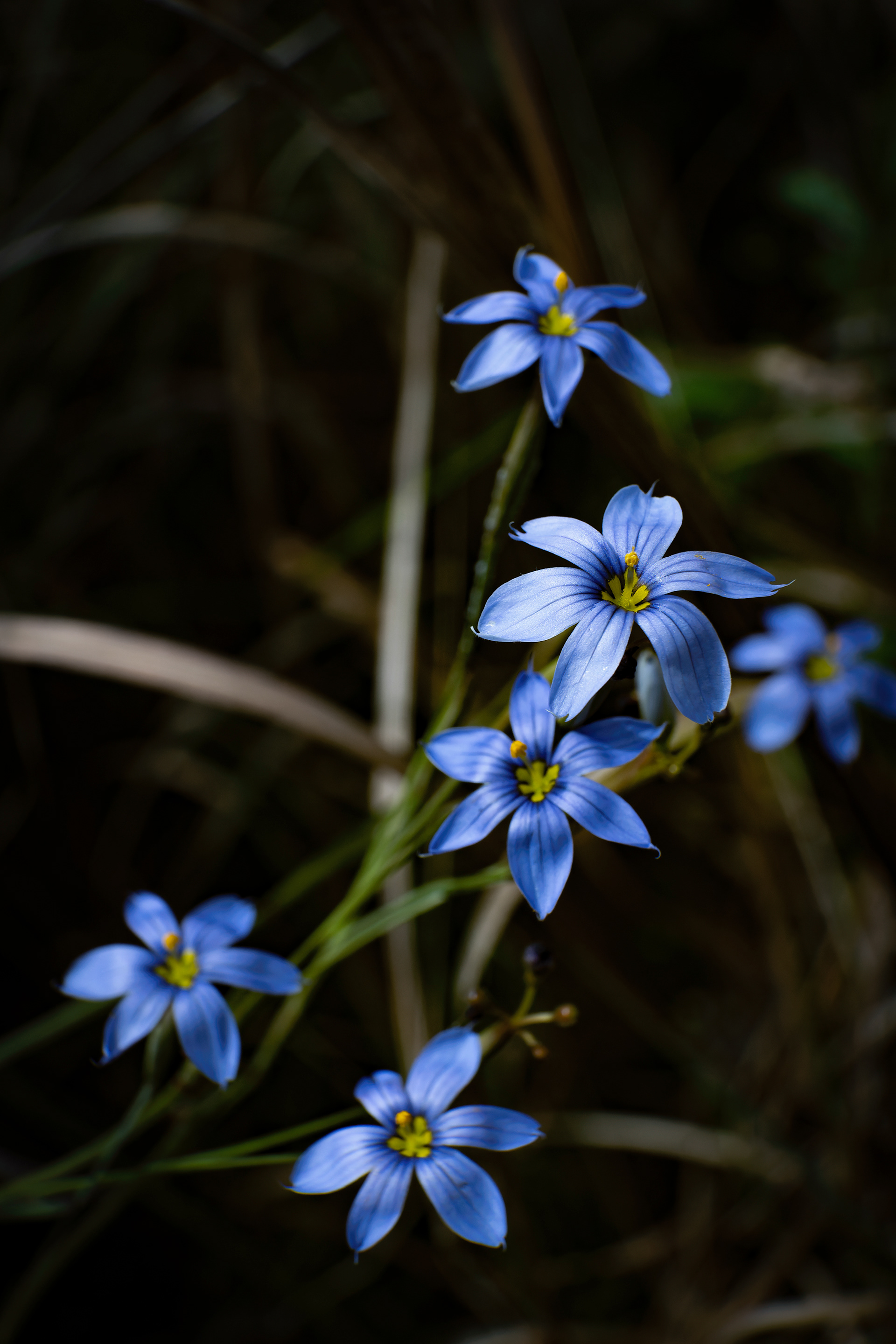 Nikon Z 50 / ISO-400, f/9, 1/800, 37mm