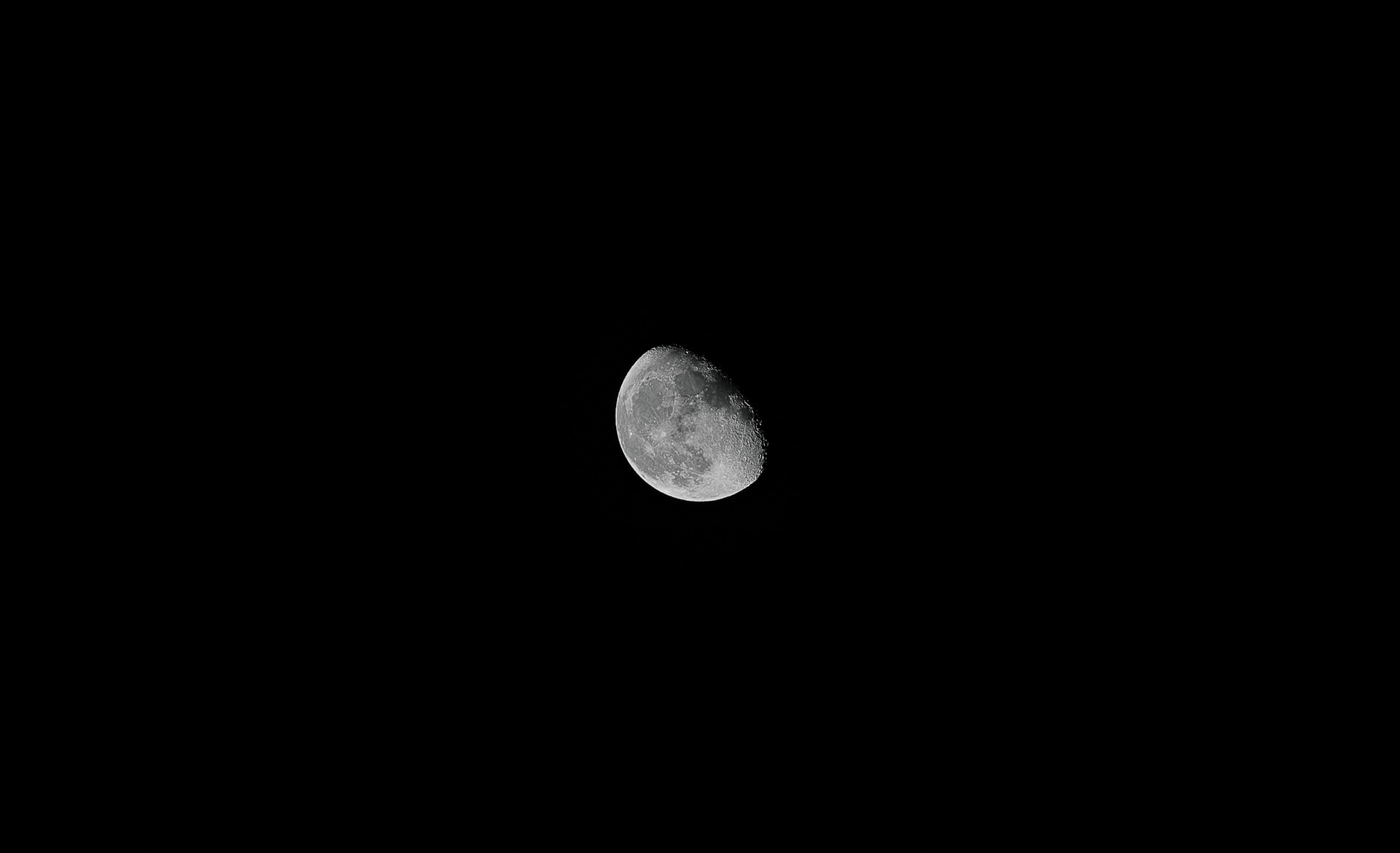 Nikon Z 6 / ISO-160, f/6.3, 1/160, 250mm