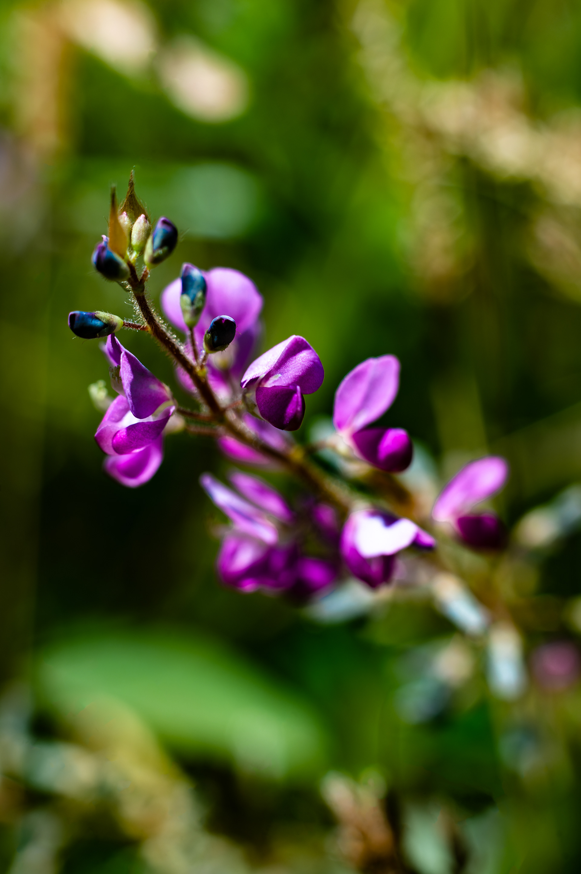 Nikon Z 6 / ISO-100, f/7.1, 1/320, 50mm
