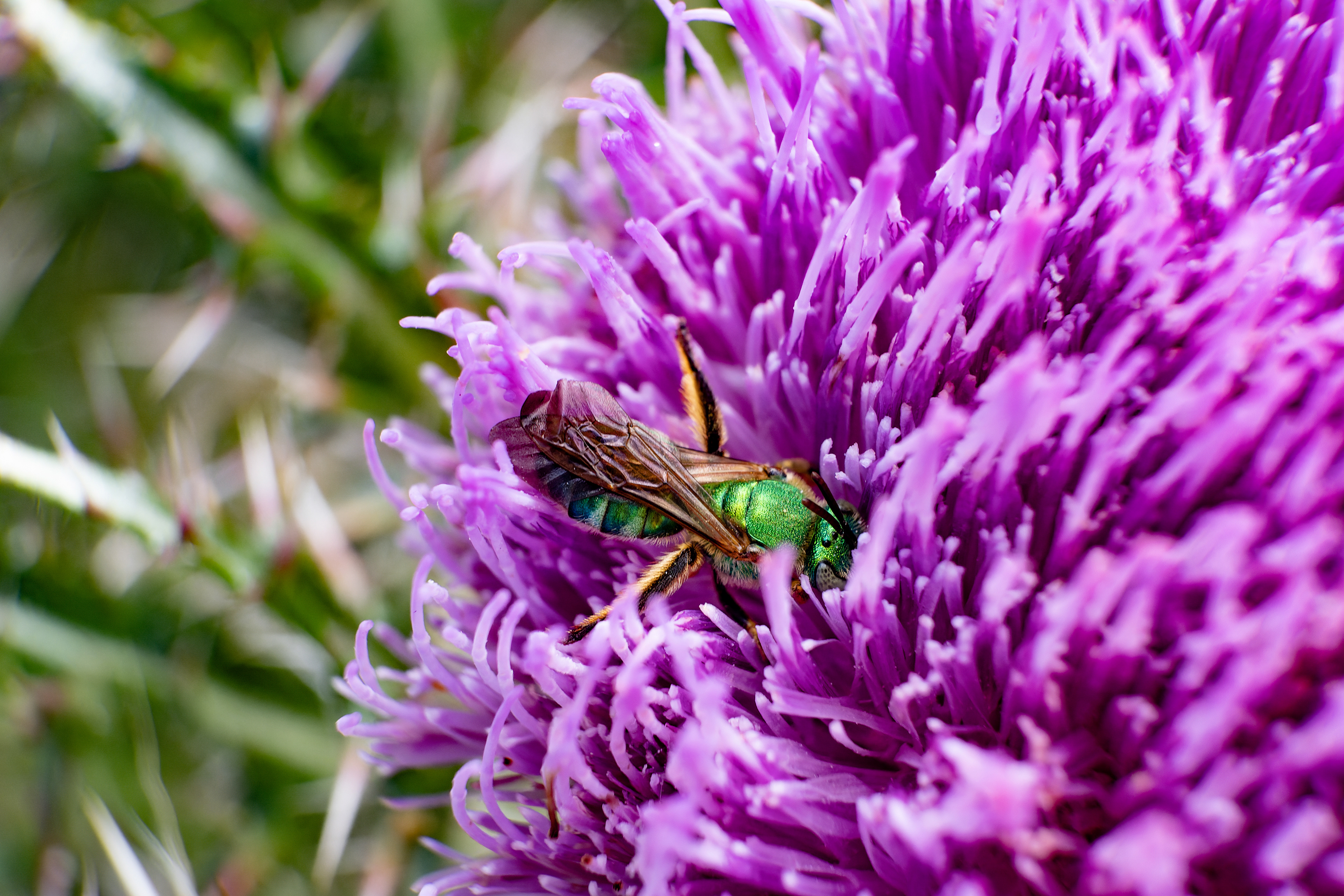 Nikon Z 50 / ISO-800, f/8, 1/320, 36mm