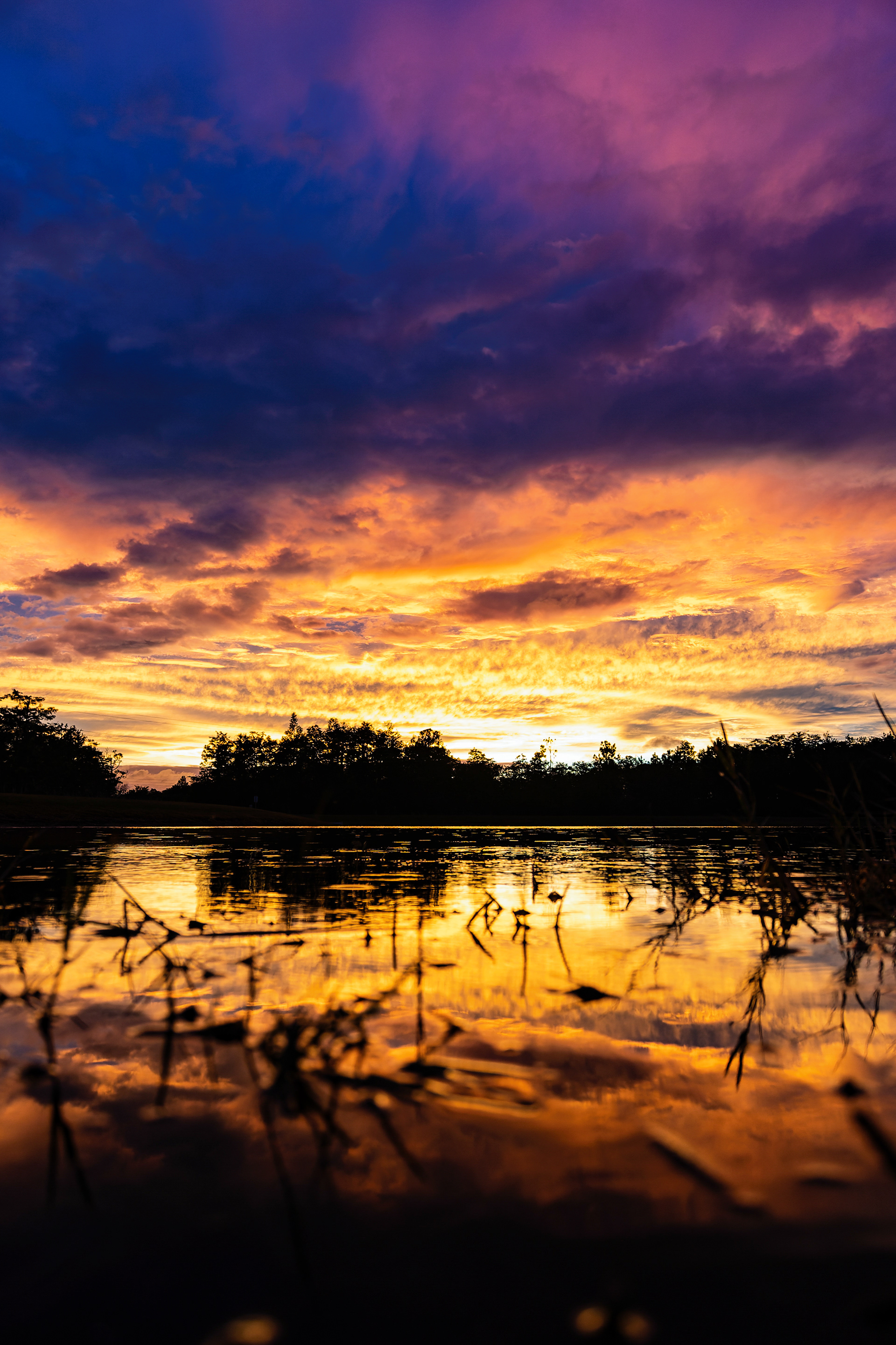 Nikon Z 6 / ISO-500, f/3.5, 1/200, 16mm