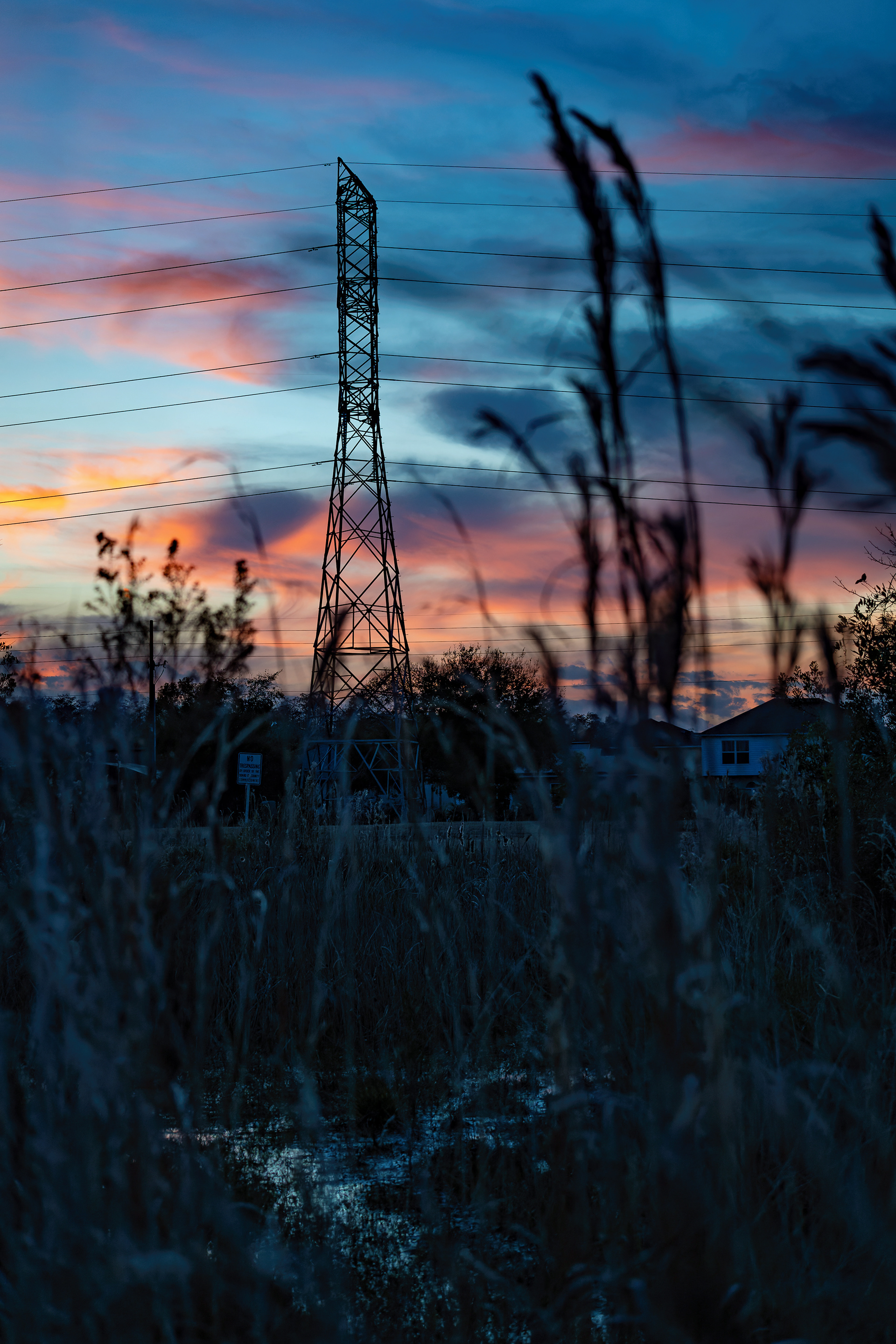 Nikon Z 50 / ISO-500, f/6.3, 1/100, 50mm