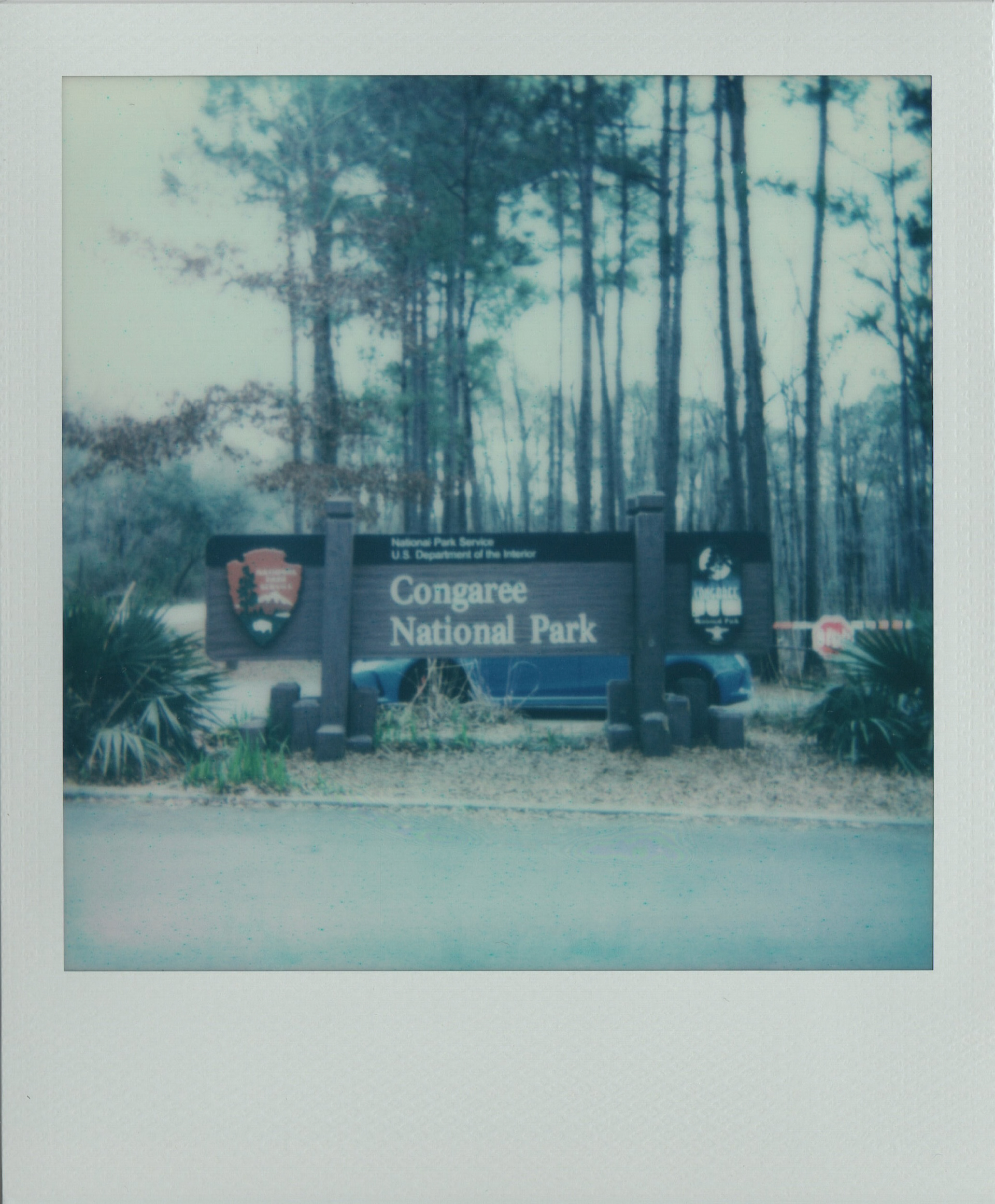 Congaree National Park Charlotte 2024