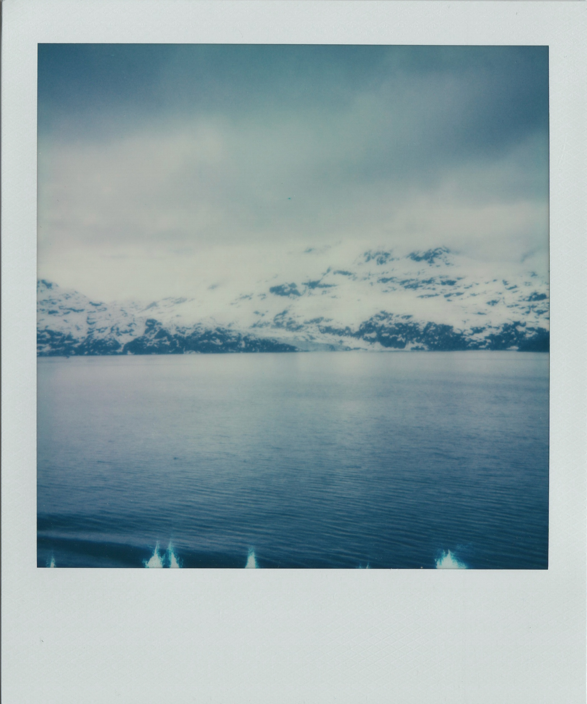 Lamplugh Glacier Alaska Trip 2023