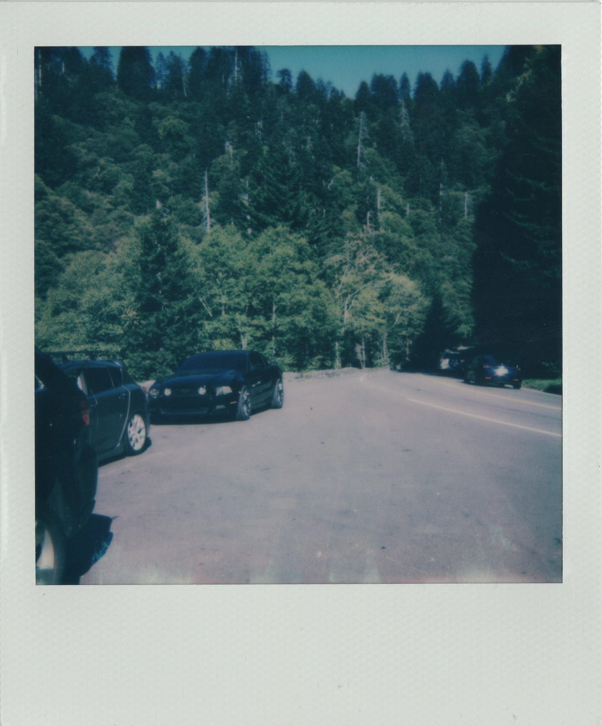 Seth Focus, Ckurt Mustang, Williams Speed 3 Clingmans Dome 2022