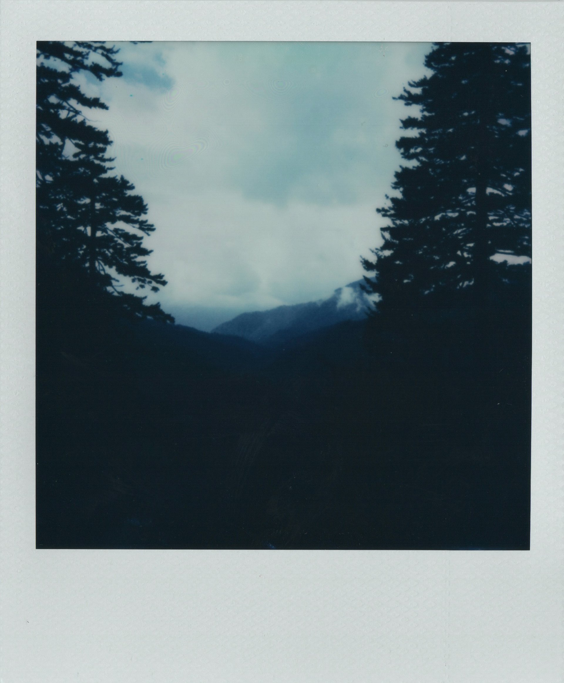 Clingmans Dome Gat 2024