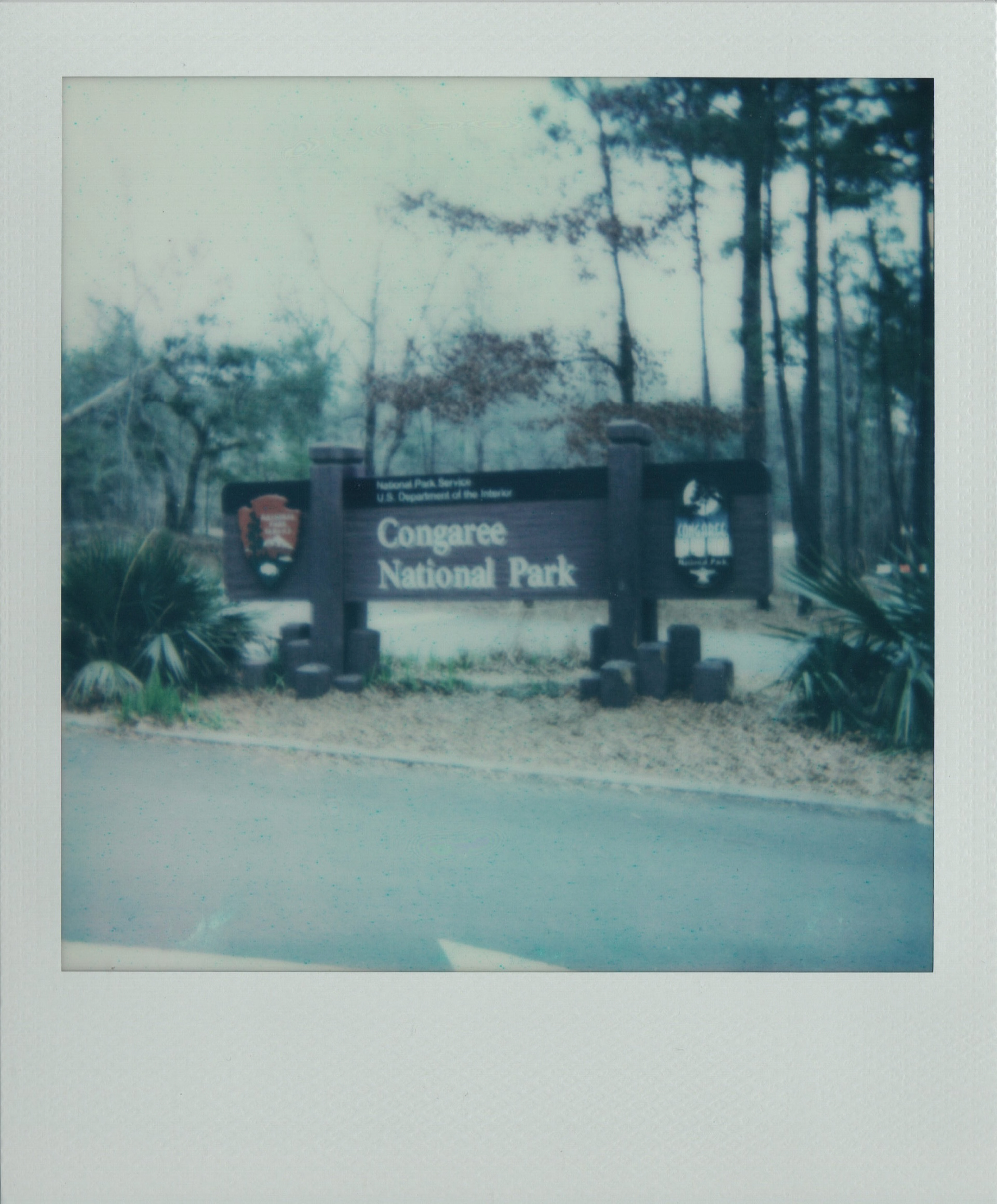 Congaree National Park Charlotte 2024
