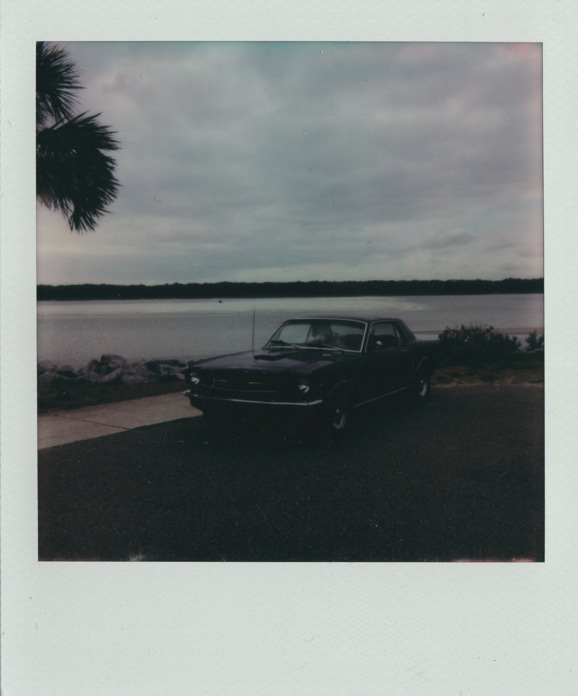 Amelia Island Concords 2025