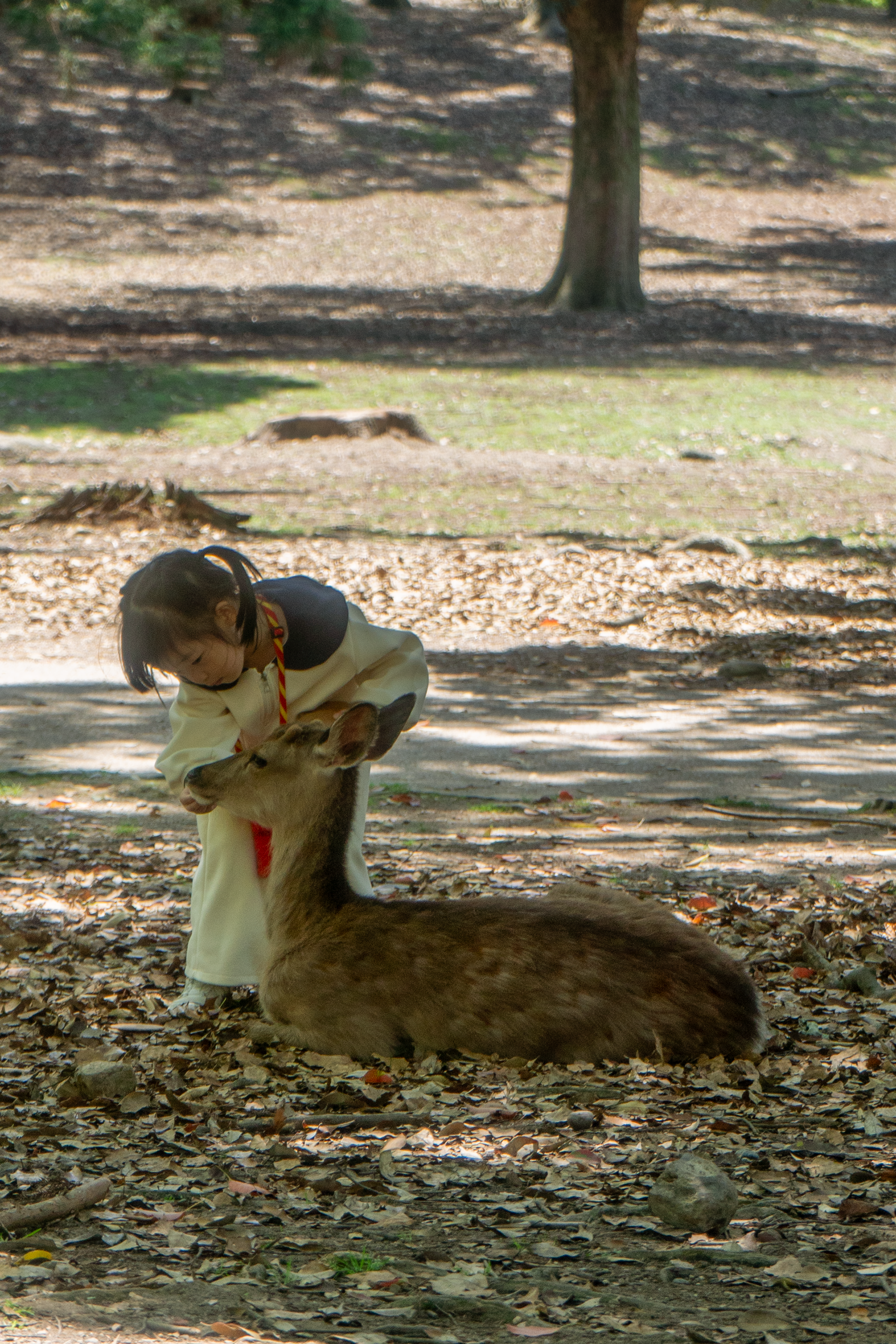 Nara, 2024