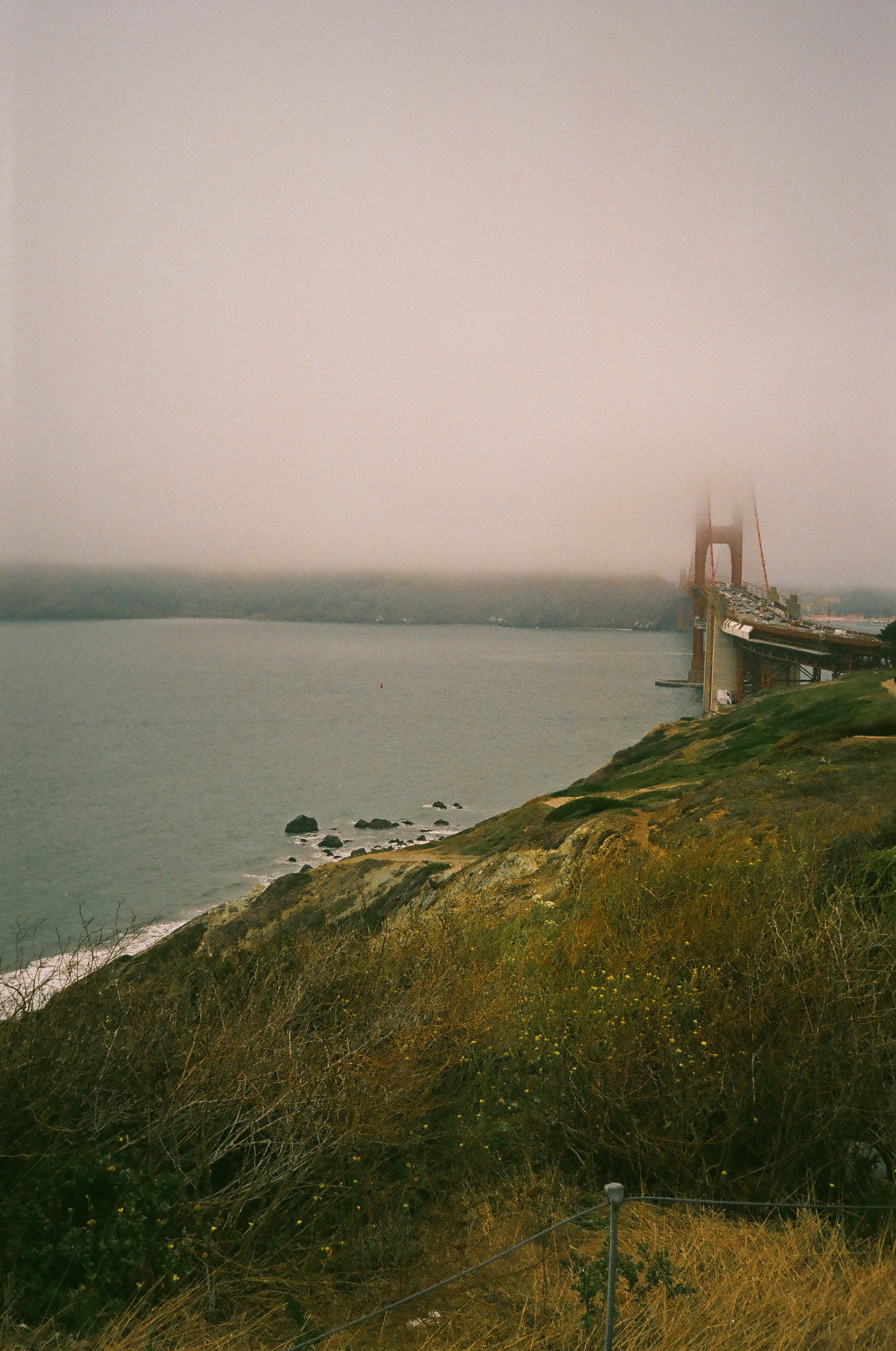 Fujicolor Superia 200, 2022