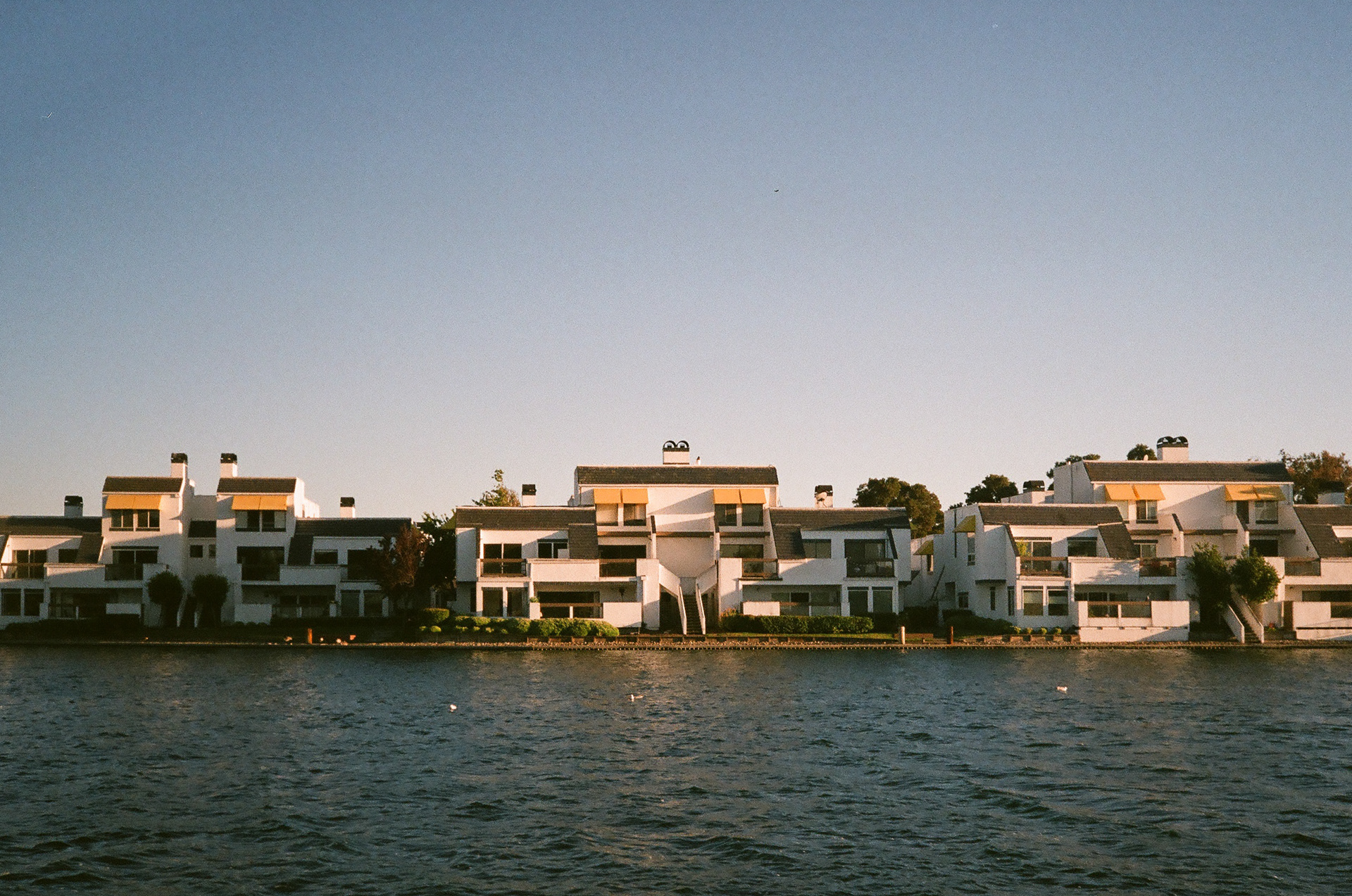Fujicolor Superia 200, 2022