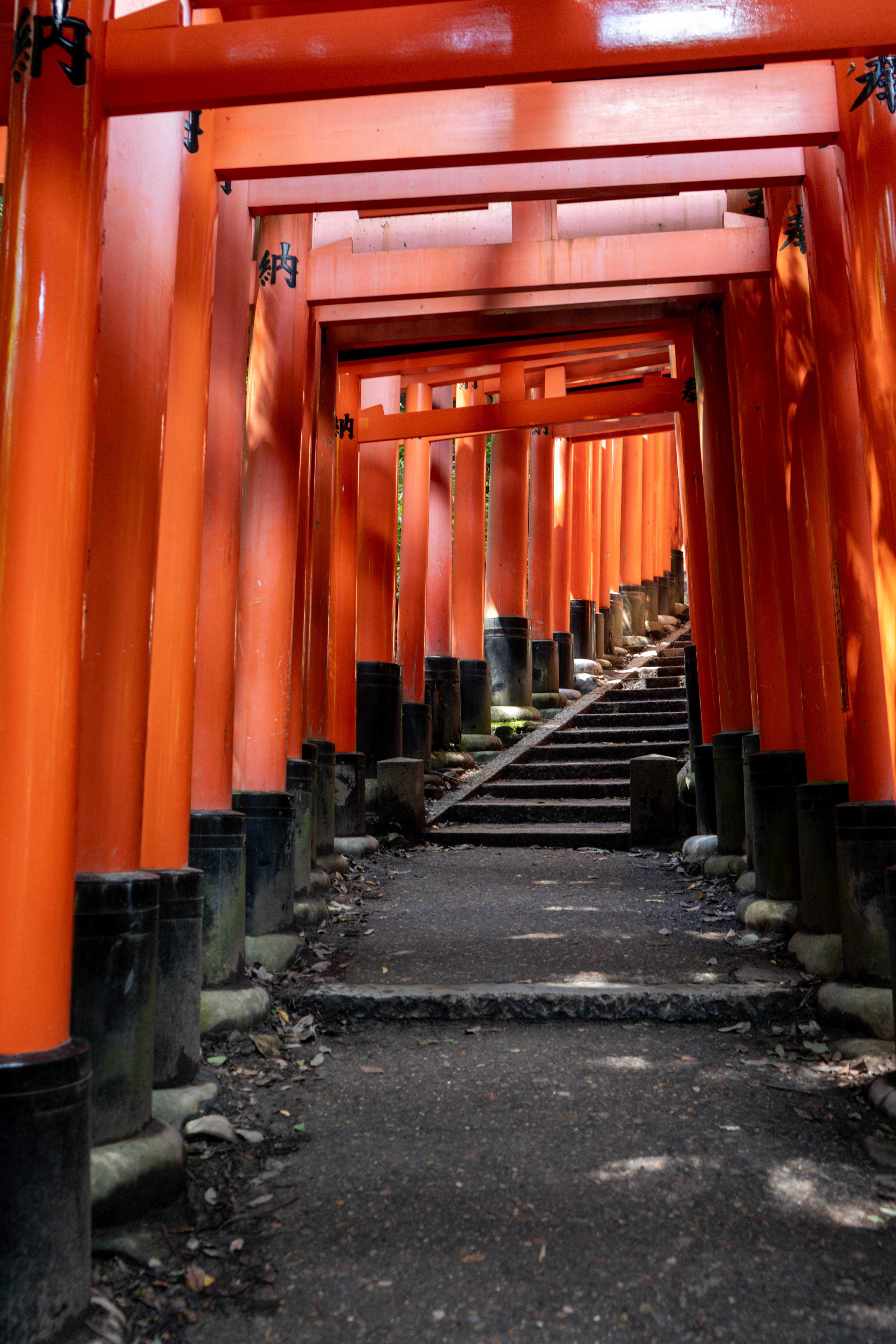 Kyoto, 2023