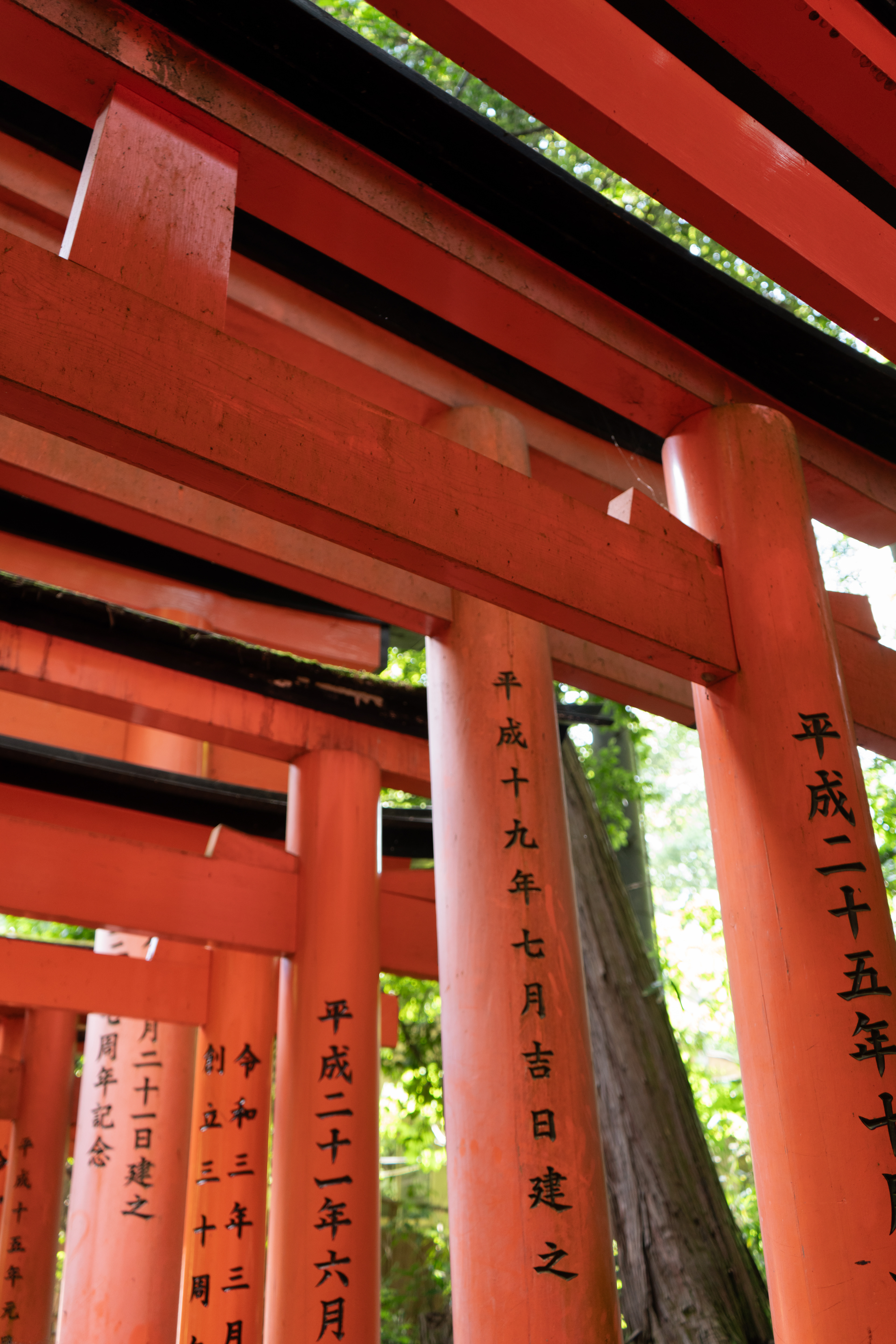 Kyoto, 2023