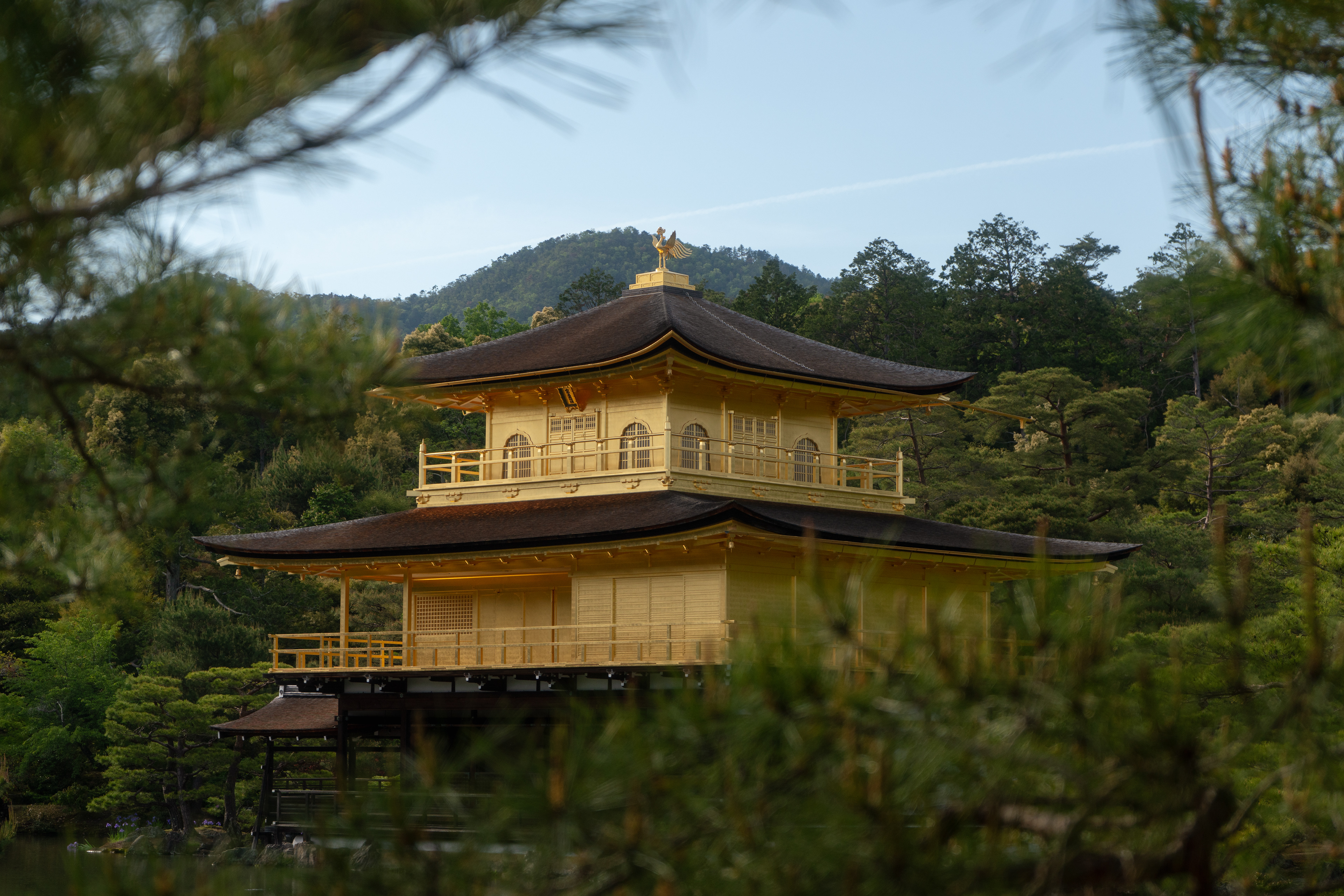 Kyoto, 2024