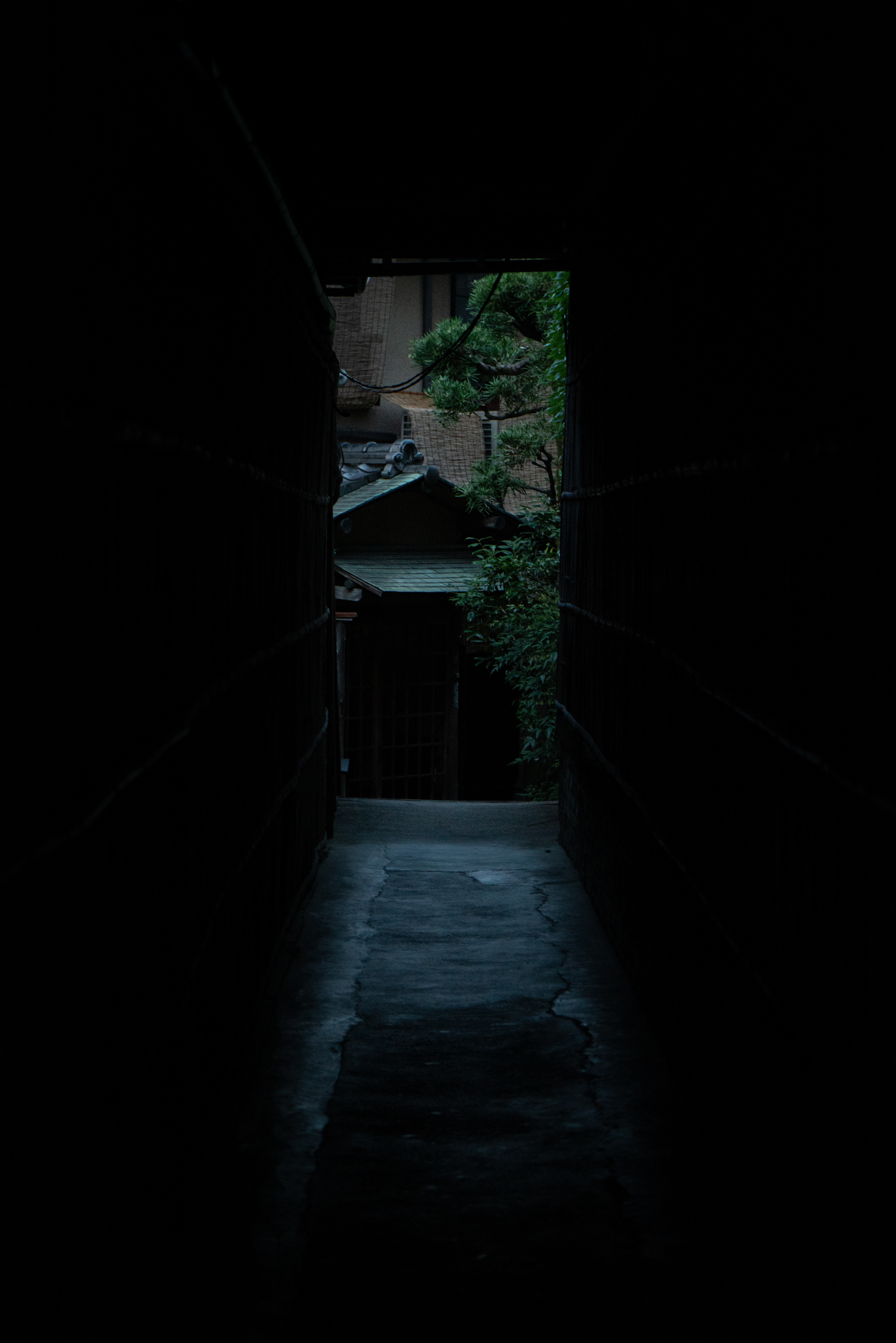 Kyoto, 2023