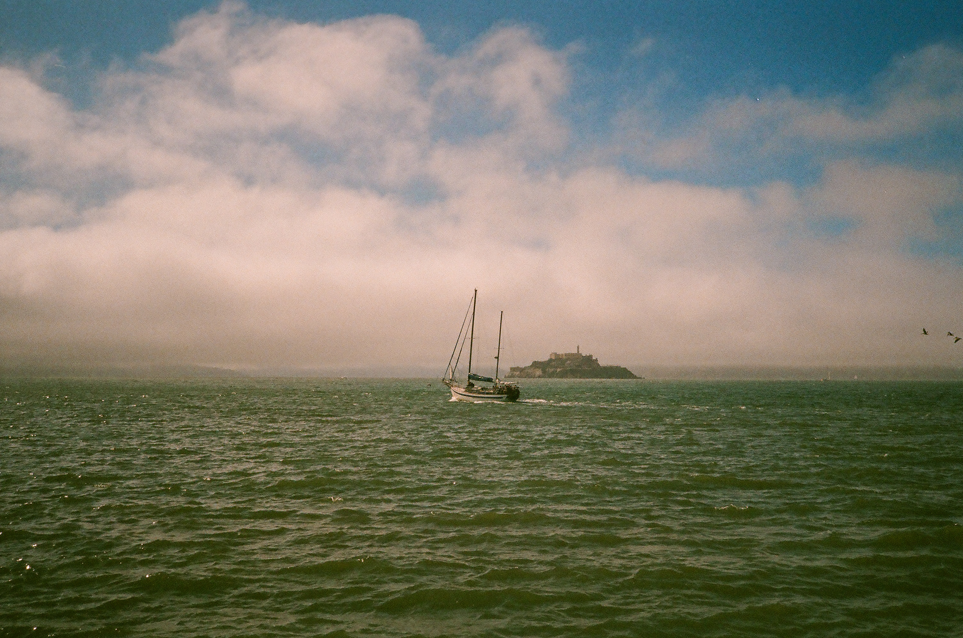 Fujicolor Superia 200, 2022