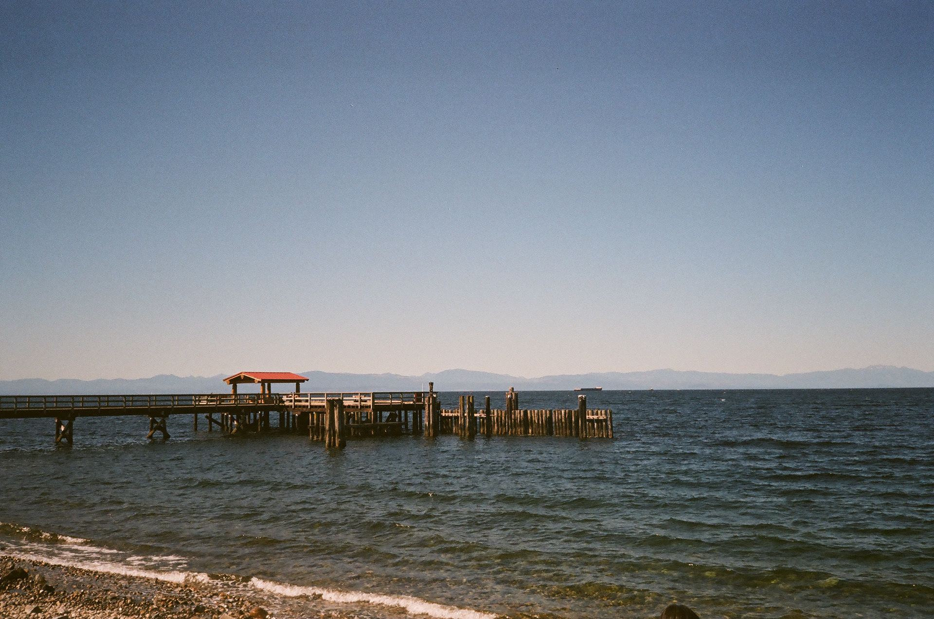 Fujicolor Superia 200, 2022