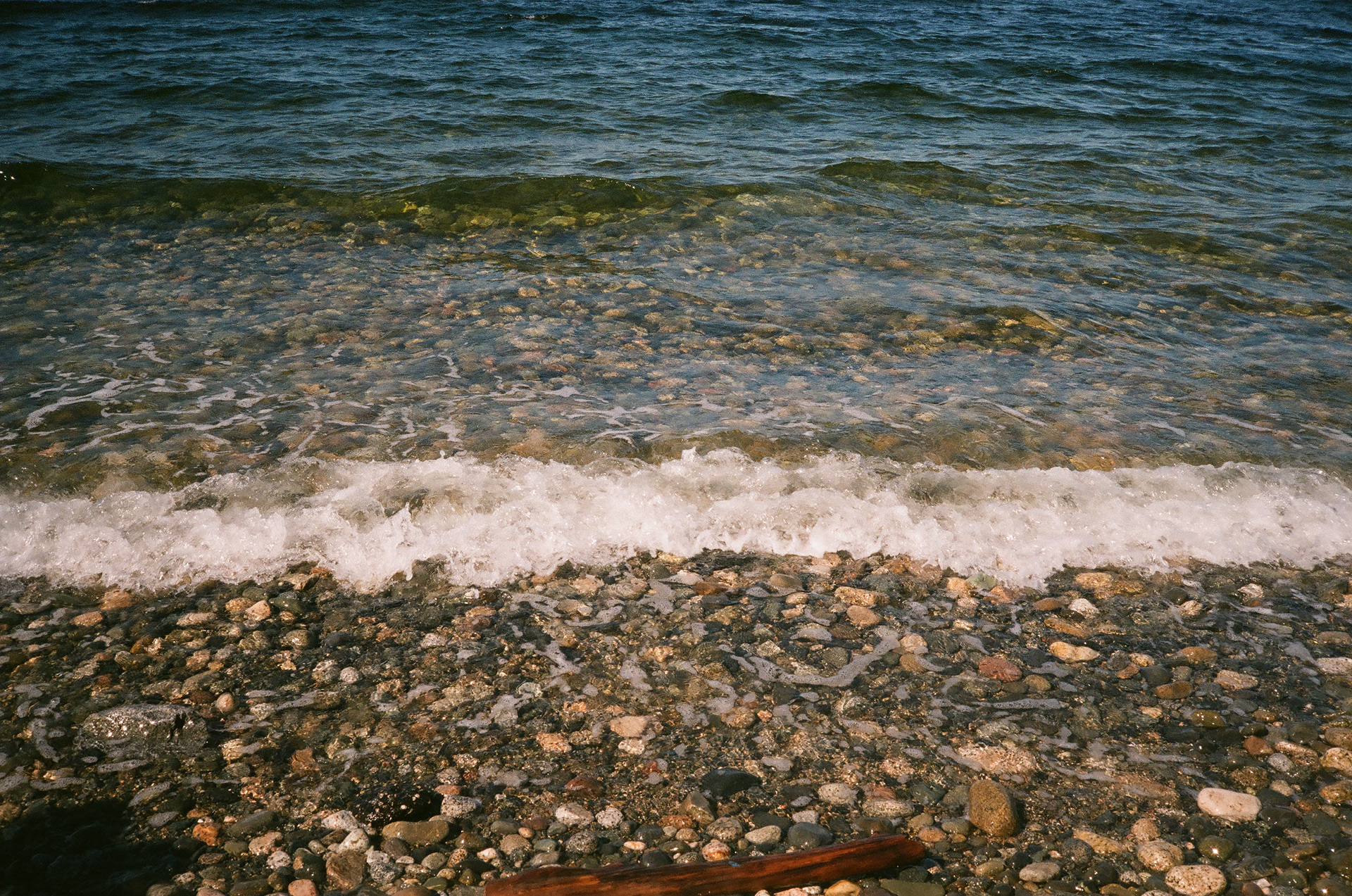 Fujicolor Superia 200, 2022