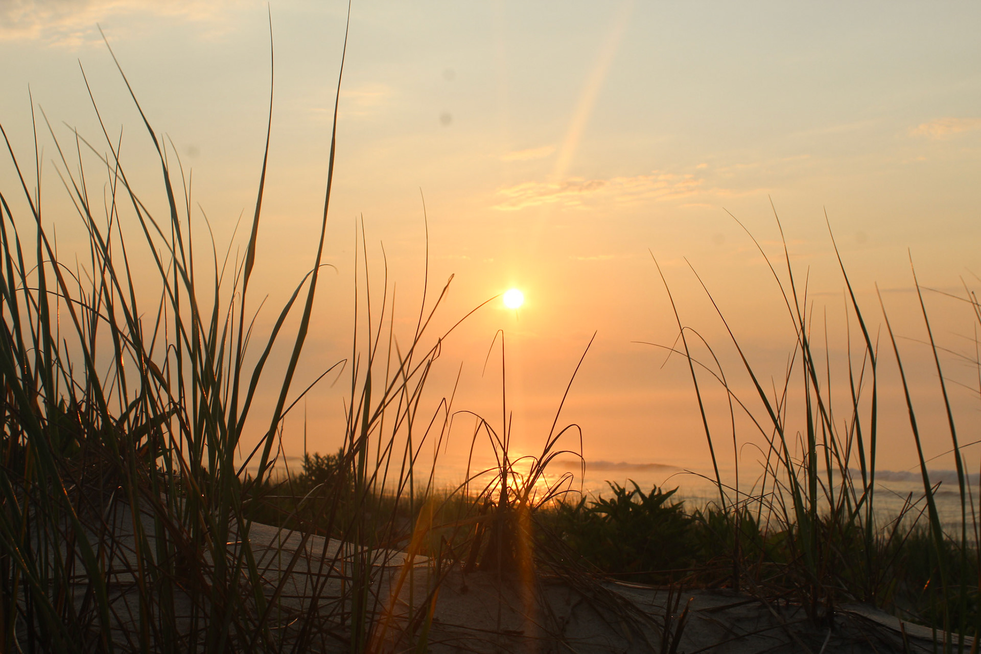 Sunrise
