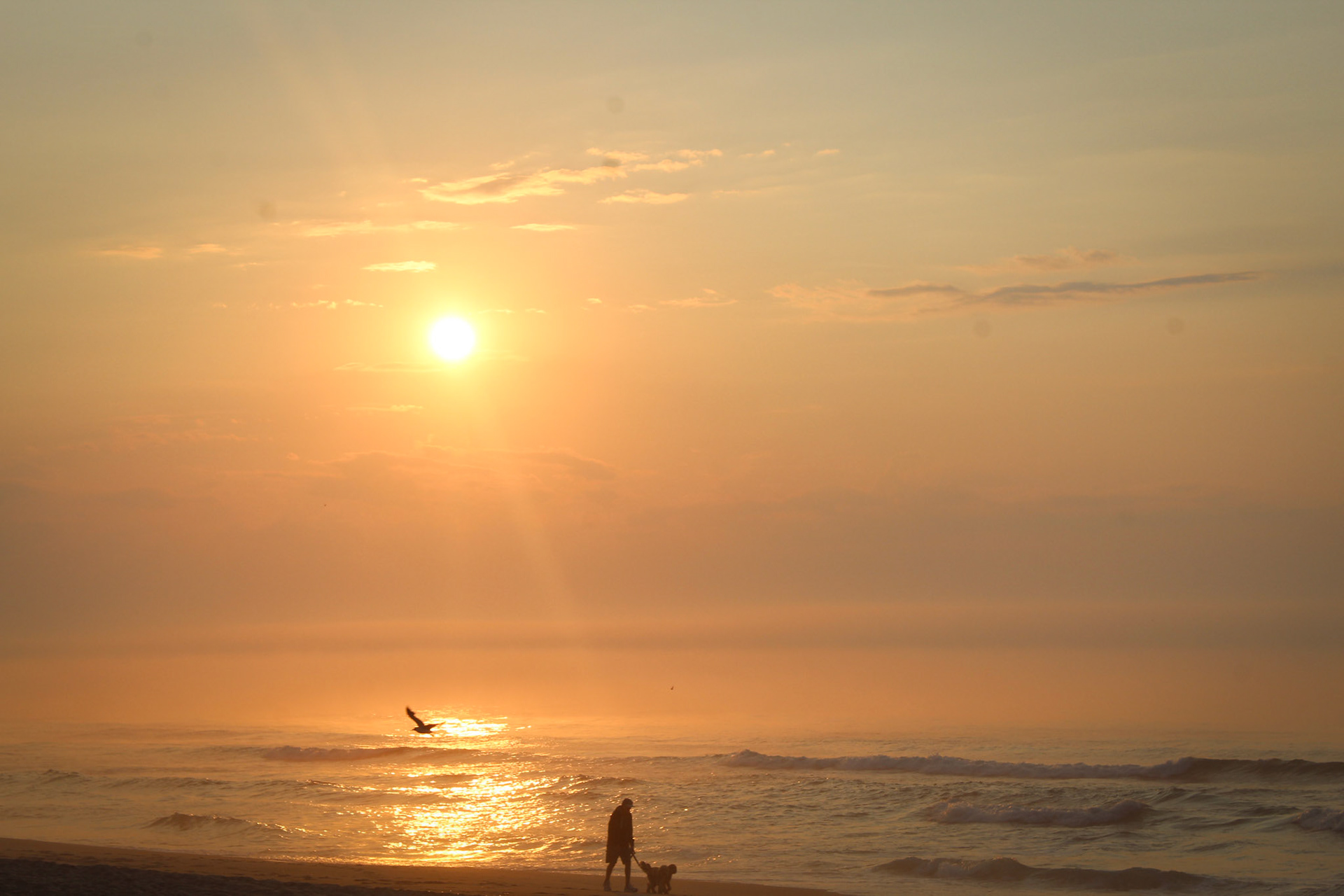 Sunrise 