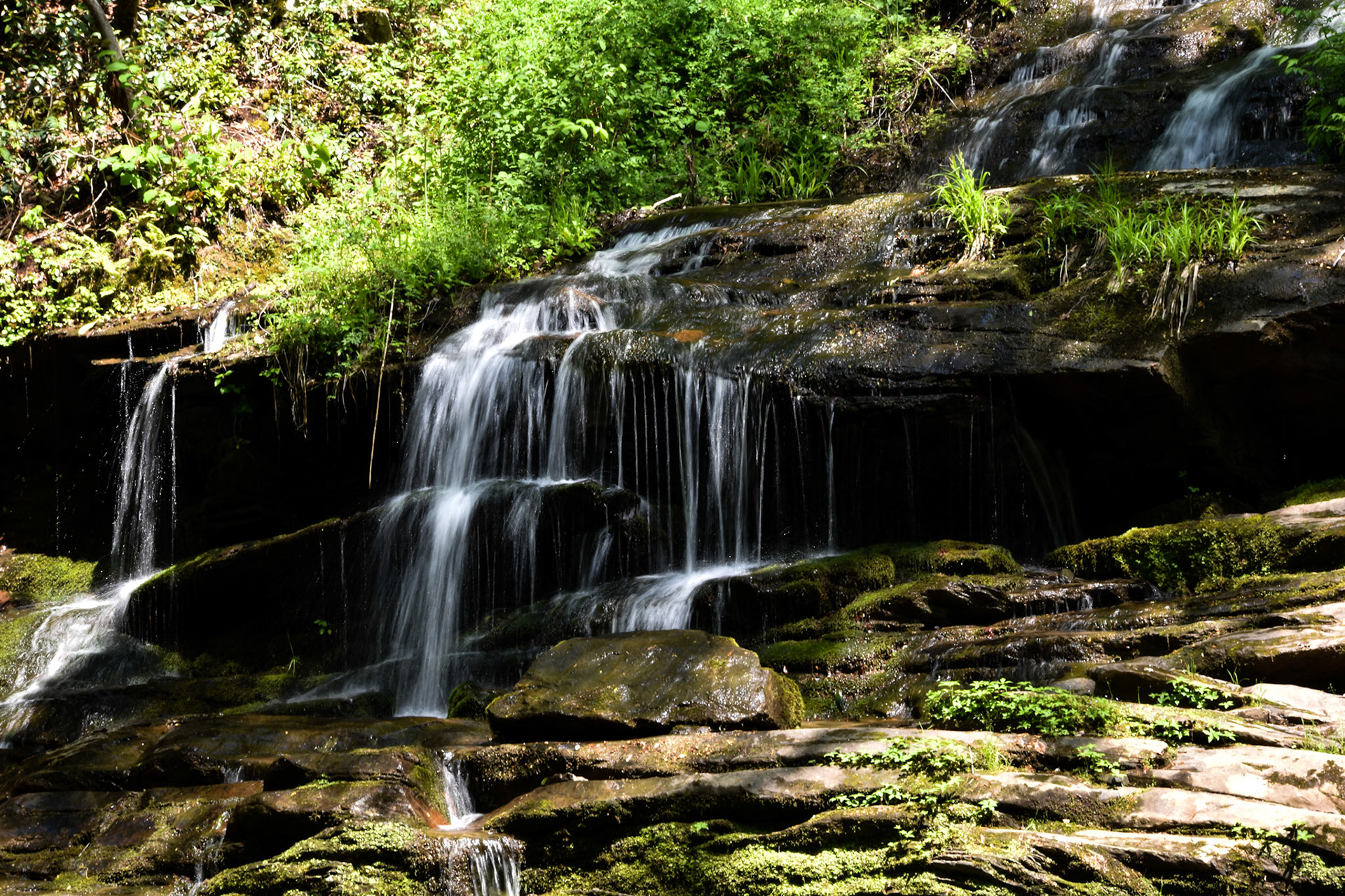 Great Smoky Mountains National Park, TN; May 2022