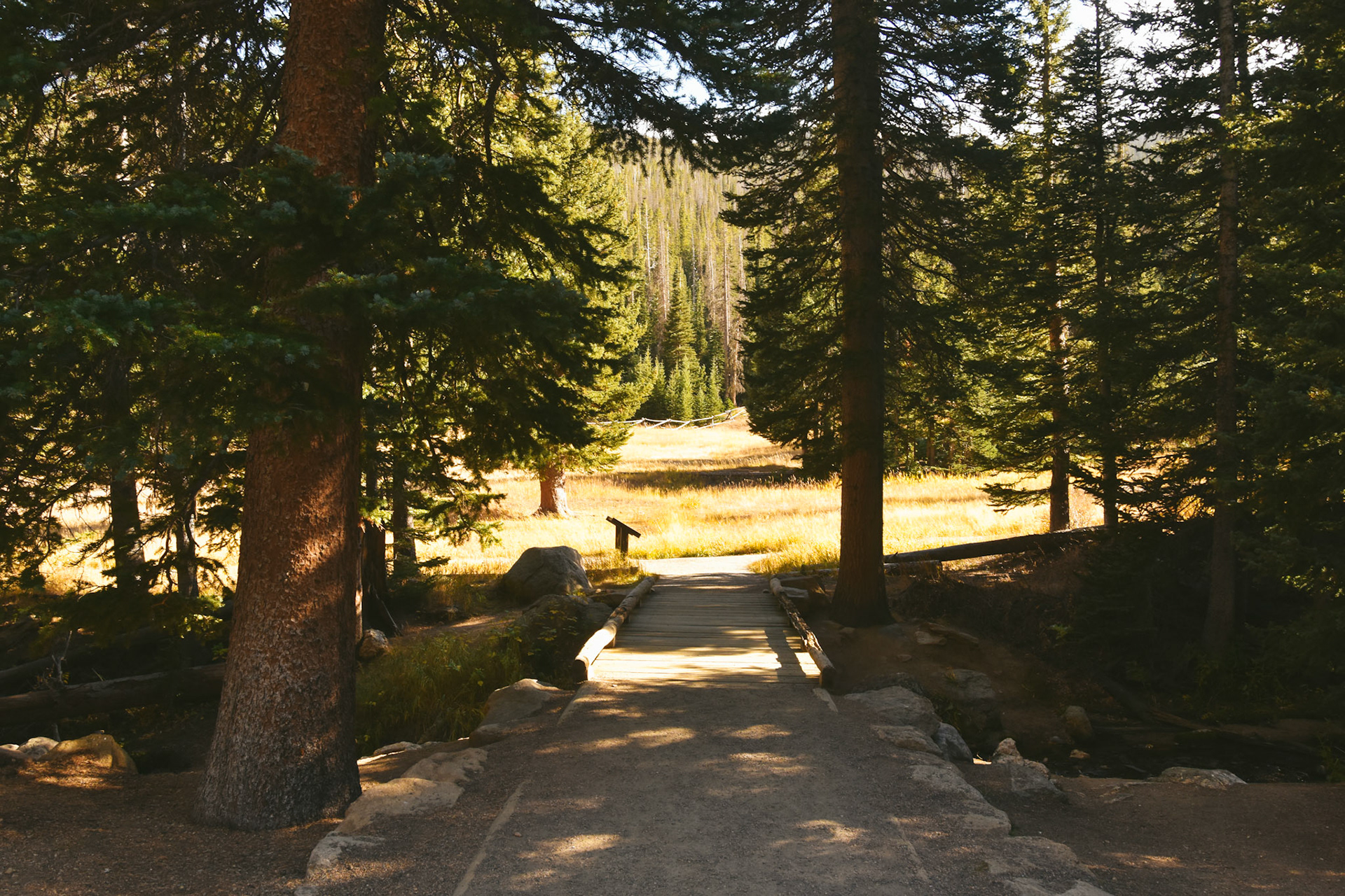 Rocky Mountain National Park, Colorado; October 2024