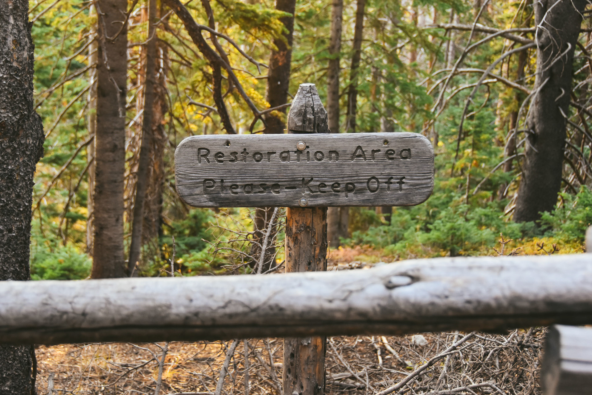 Rocky Mountain National Park, Colorado; October 2024