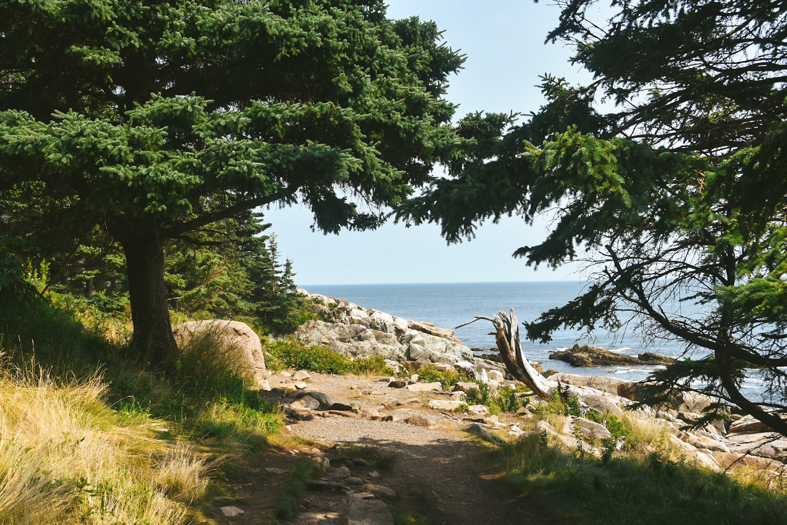Acadia National Park, Maine; August 2024