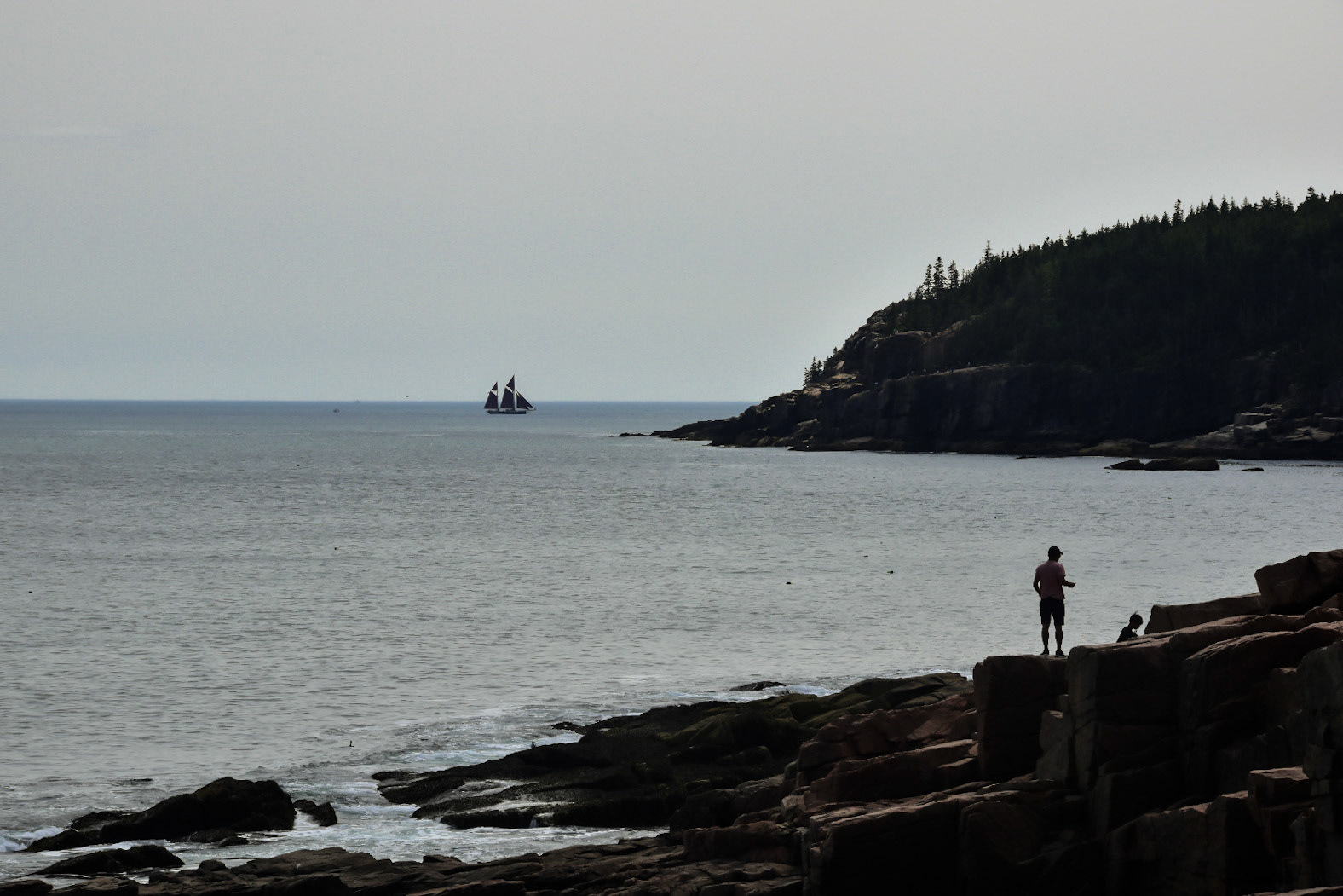 Acadia National Park, Maine; August 2024