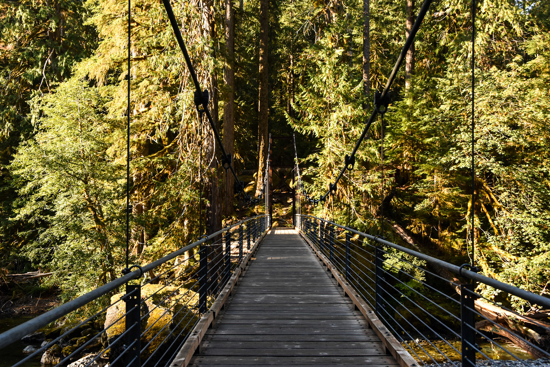 Olympic National Park, WA; September 2022