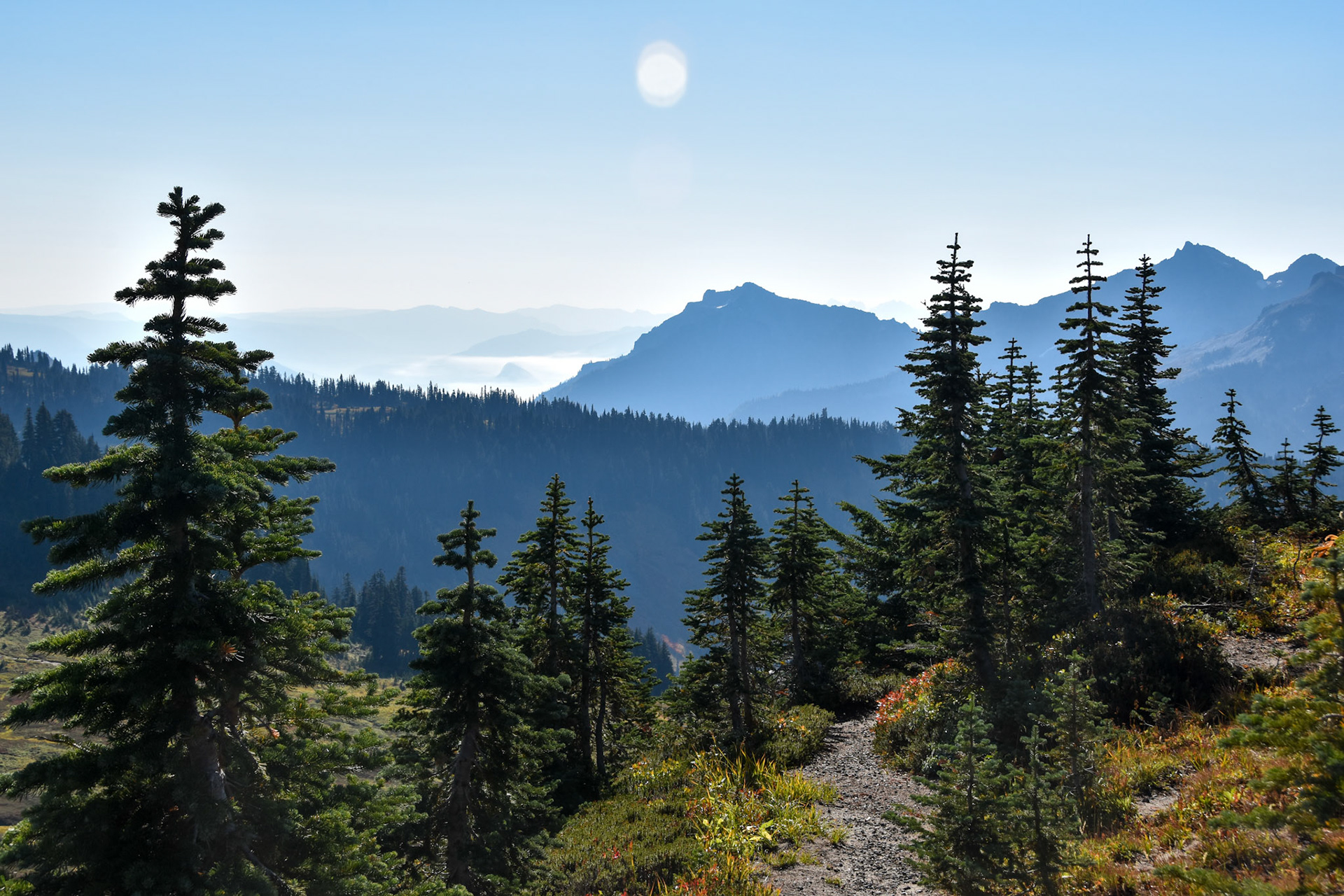 Mount Rainier National Park, WA; September 2022