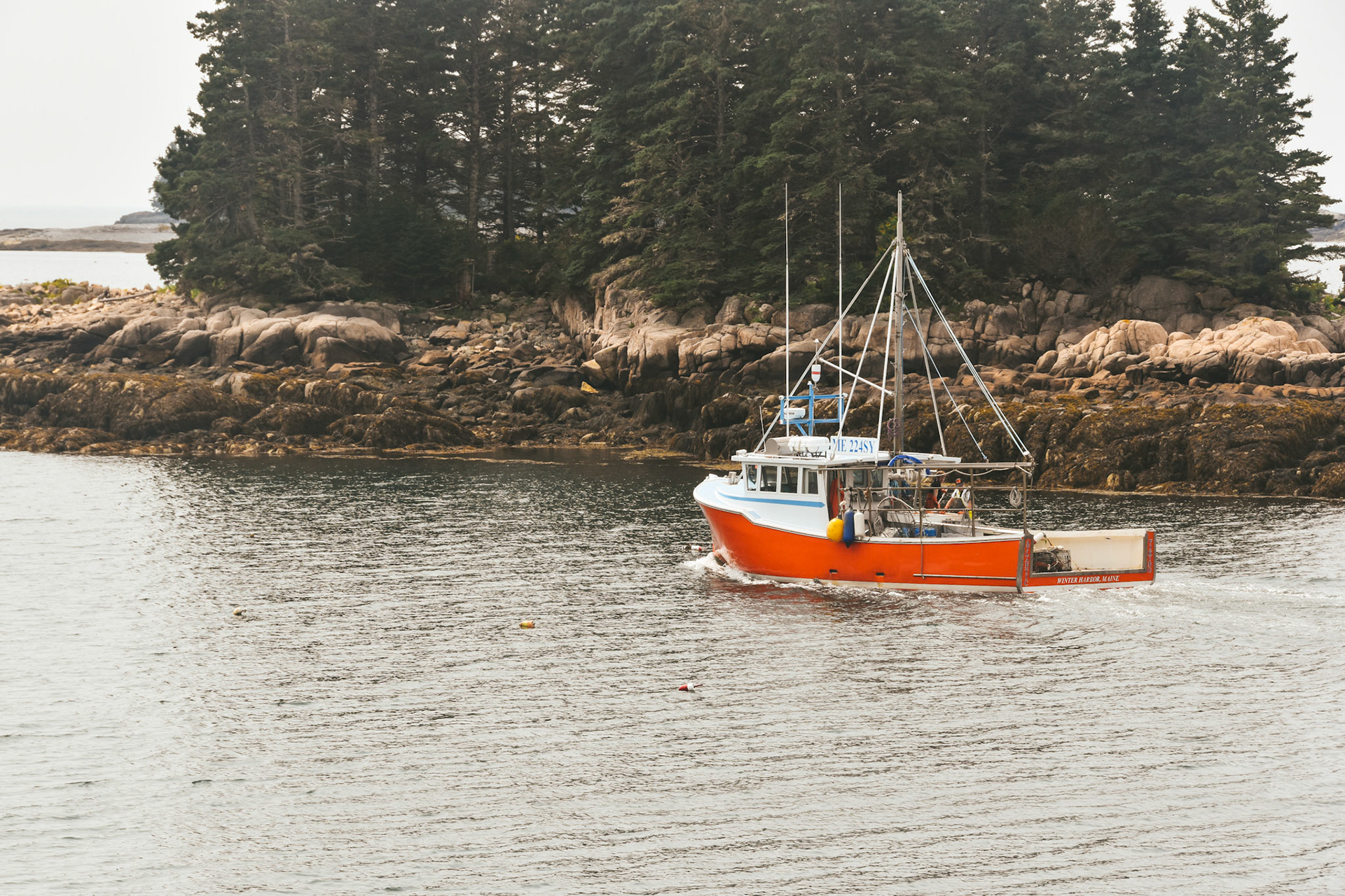 Acadia National Park, Maine; August 2024