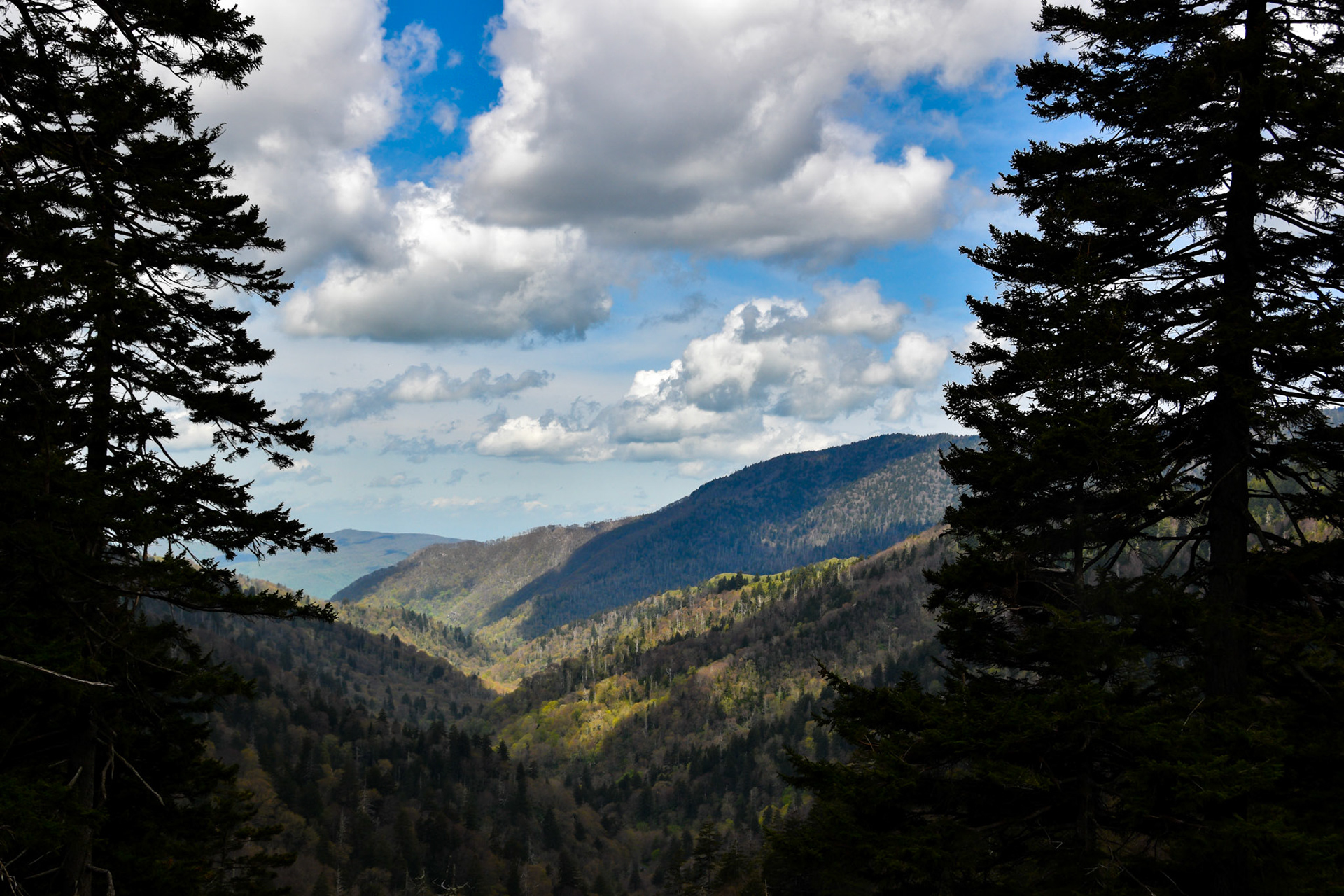 Great Smoky Mountains National Park, TN; May 2022