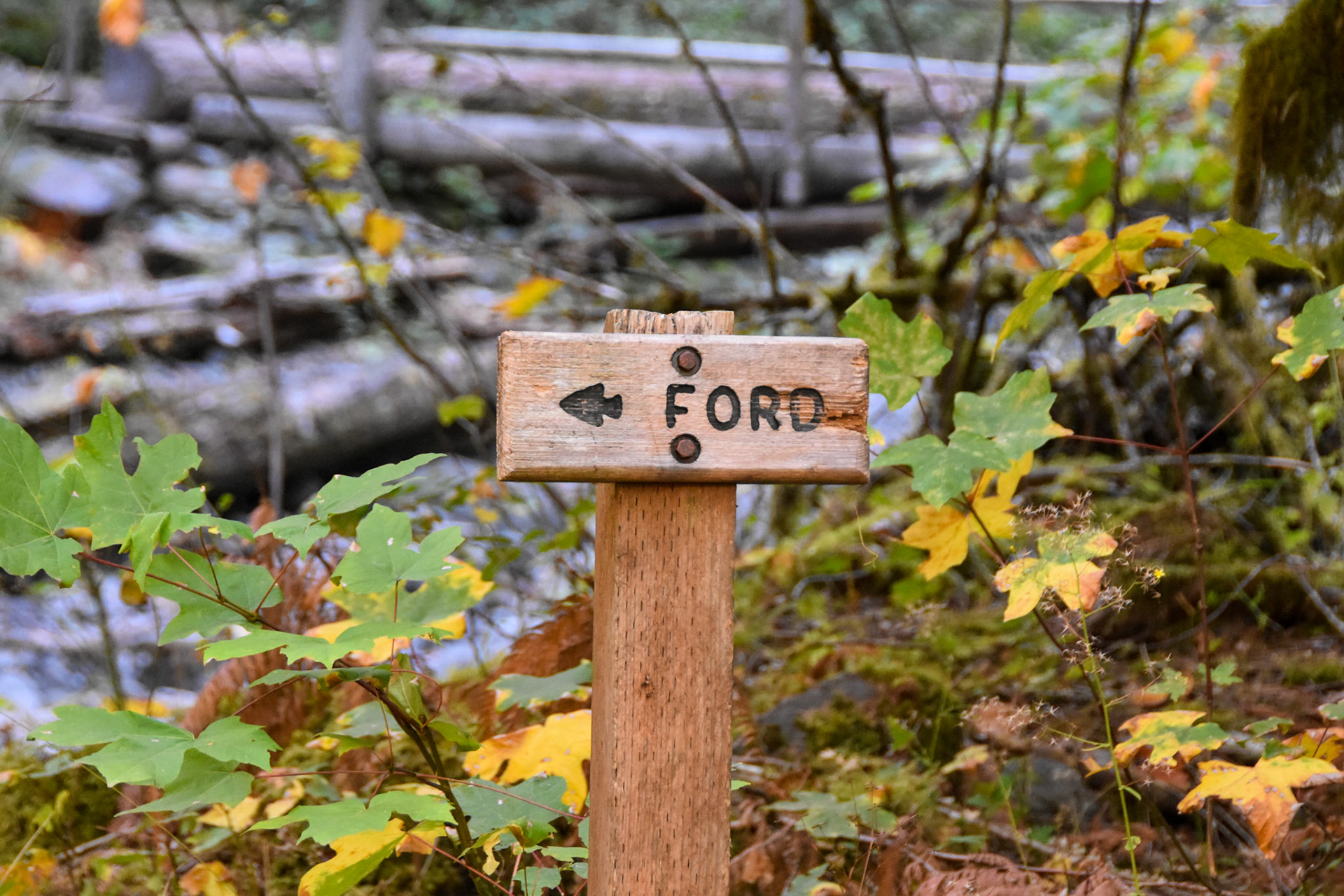 Olympic National Park, WA; September 2022